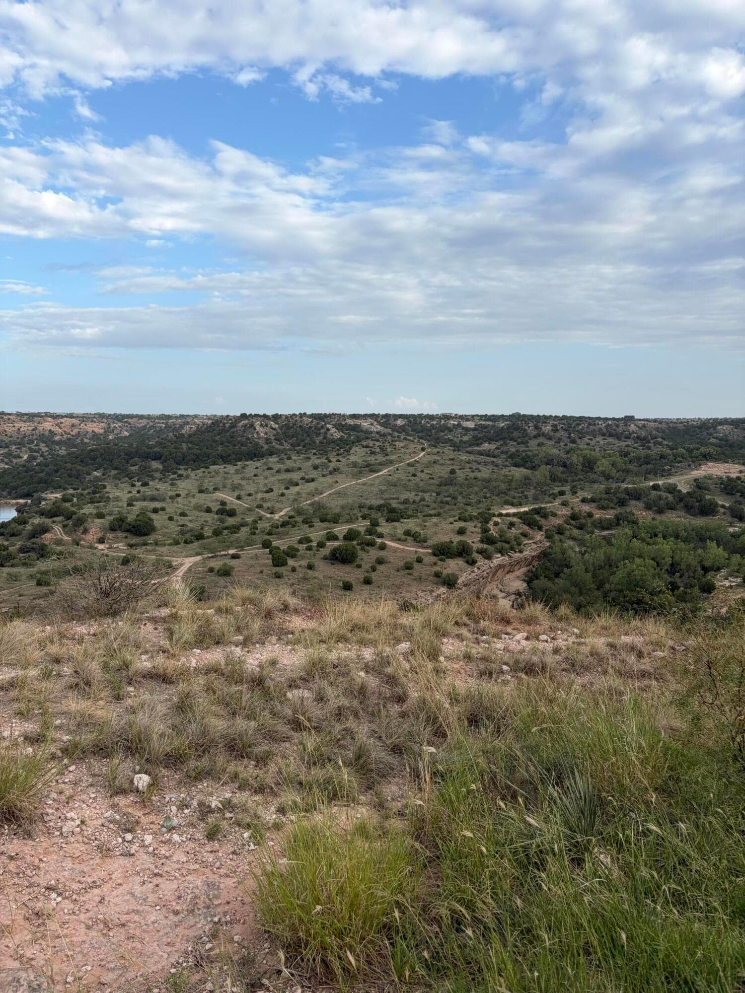 13401 WILD HORSE Trail, Amarillo, TX 79118-4615, photo 18