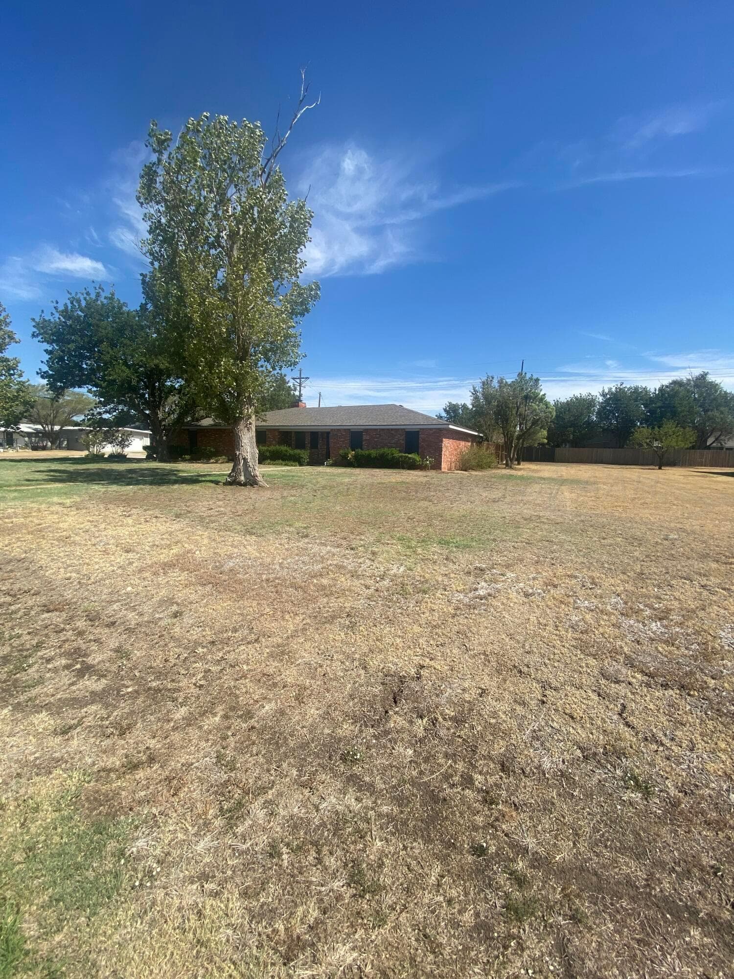 610 Pecan Avenue, Panhandle, TX 79068-9831, photo 6