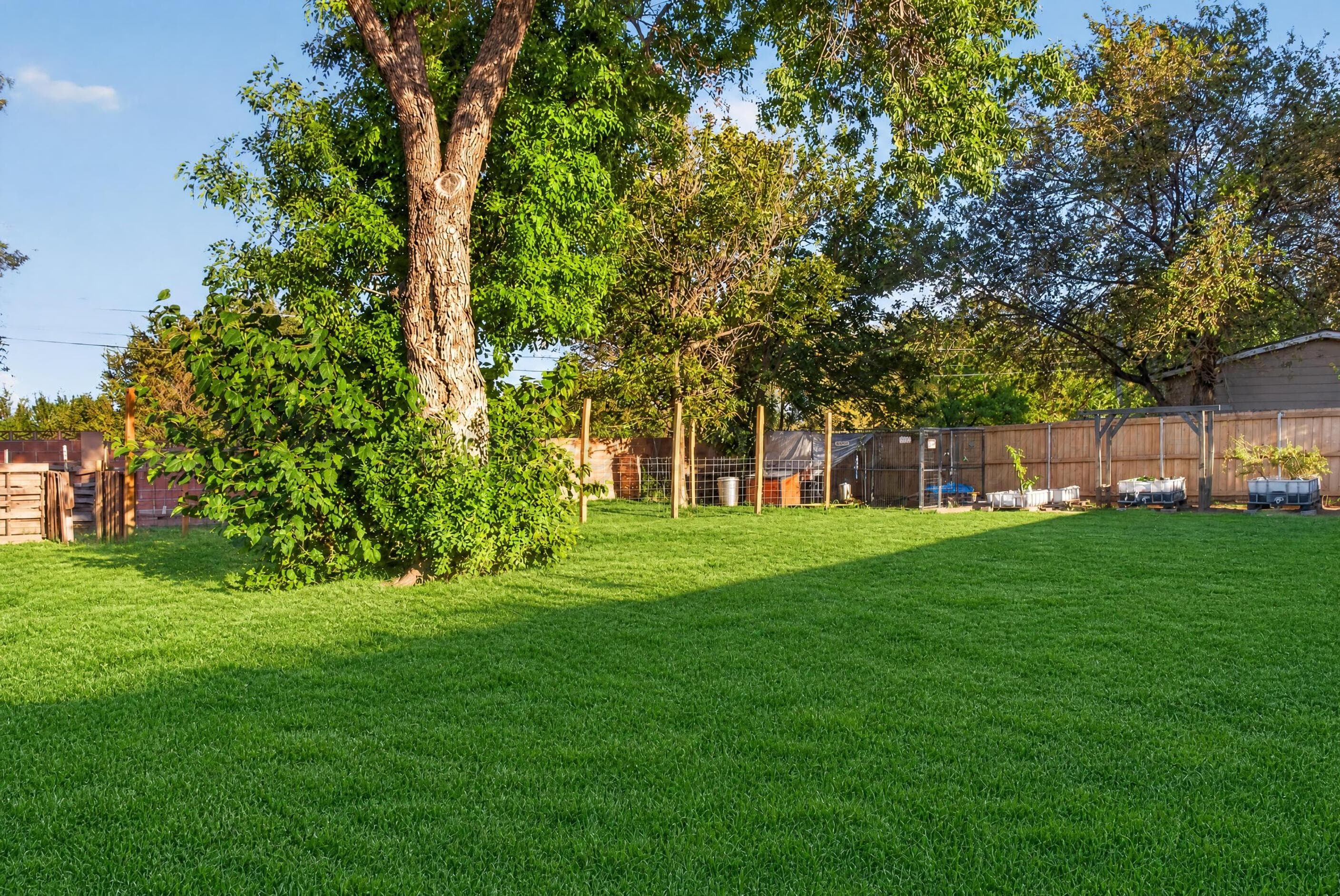 229 Garrett Street, Borger, TX 79007, photo 48