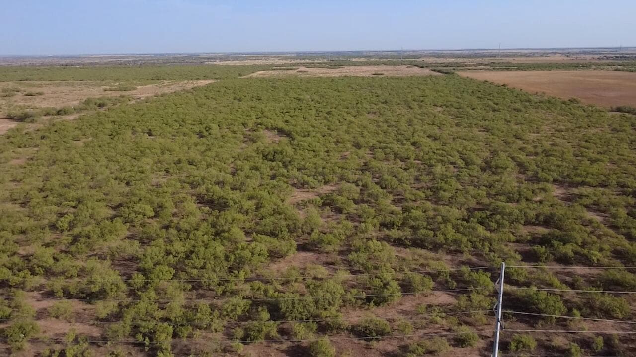 Mayfield Road, Amarillo, TX 79252, photo 4