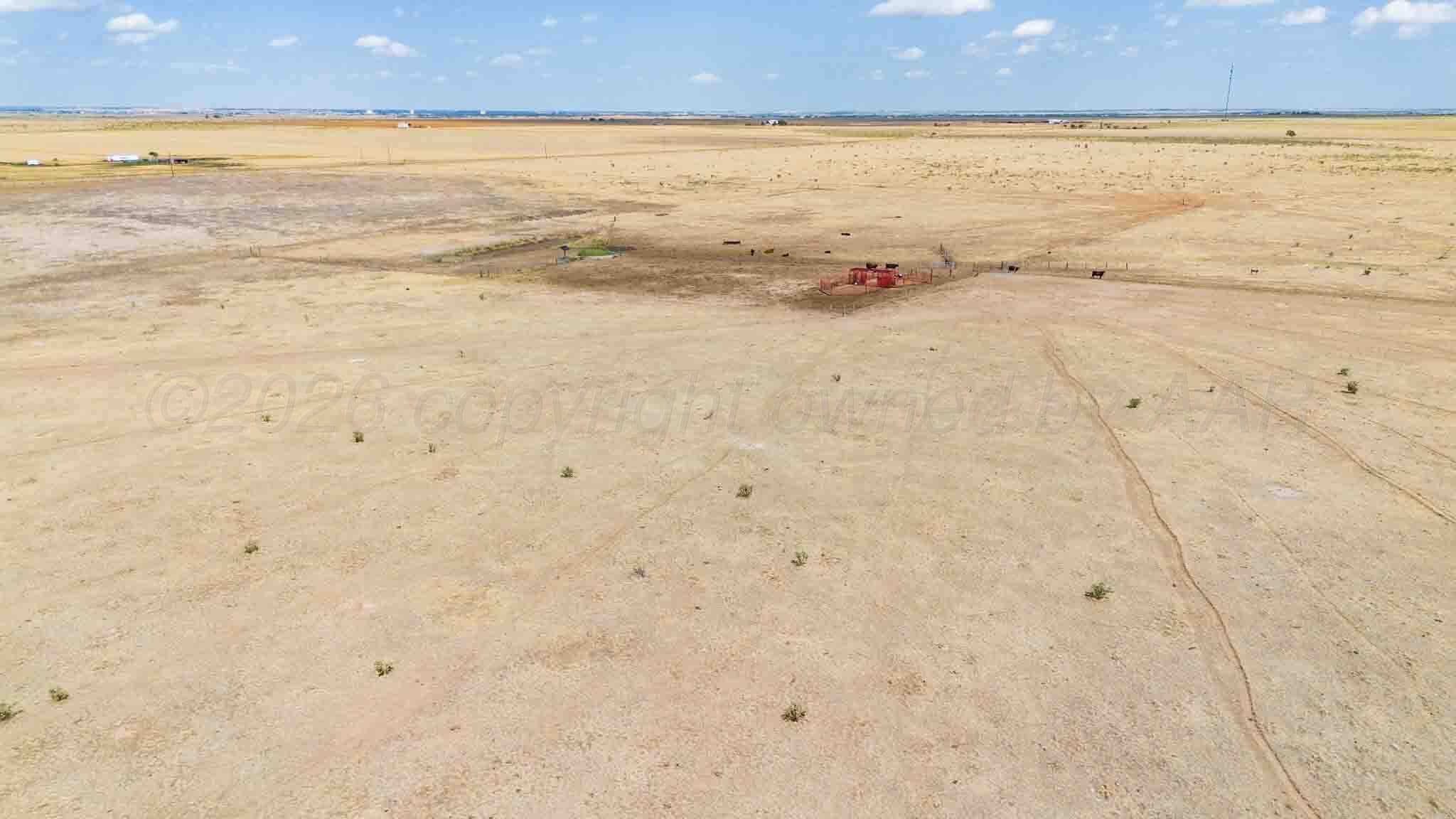 Buffalo Lake Rd. Auction, Canyon, TX 79015, photo 11