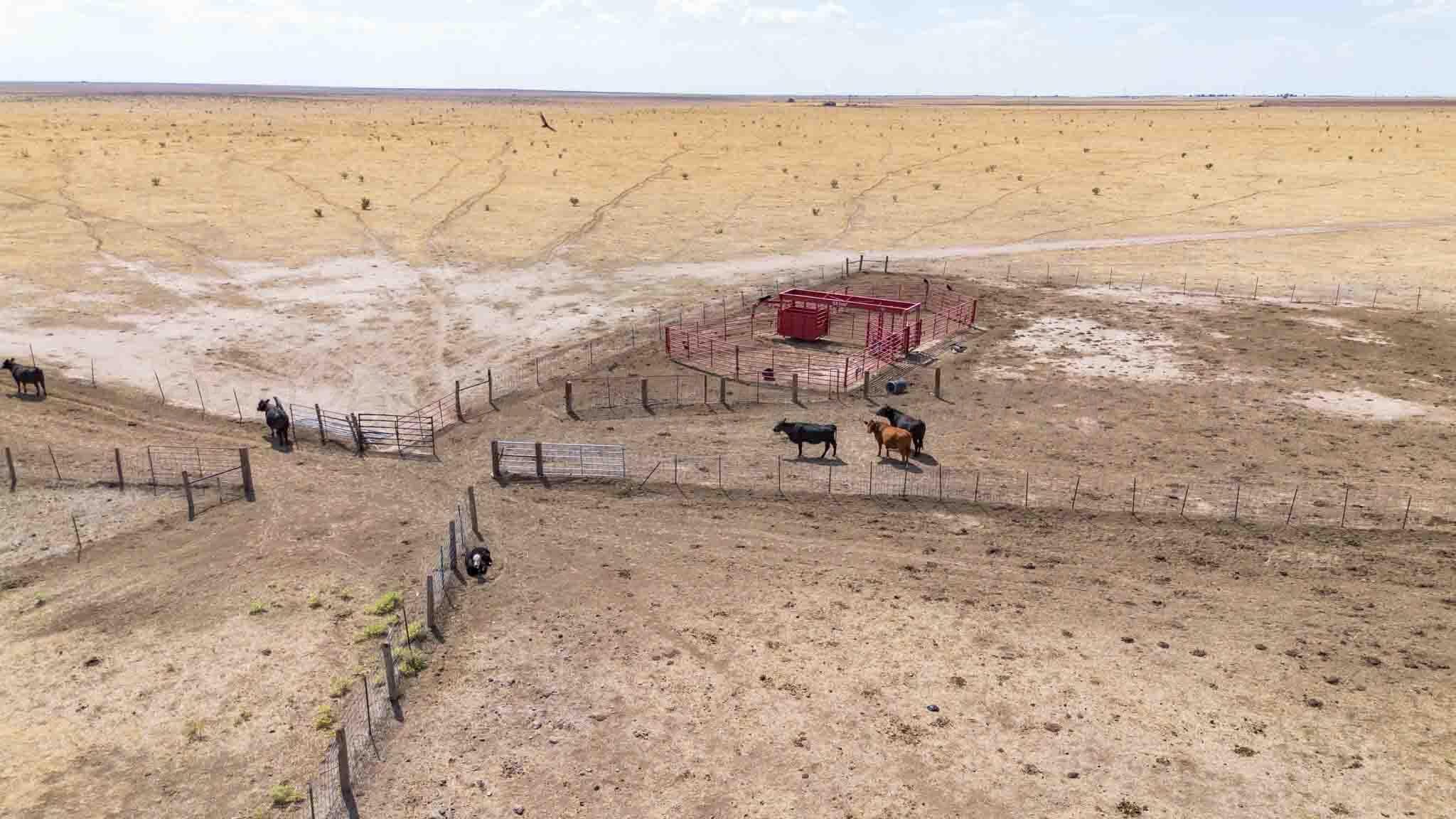 Buffalo Lake Rd. Auction, Canyon, TX 79015