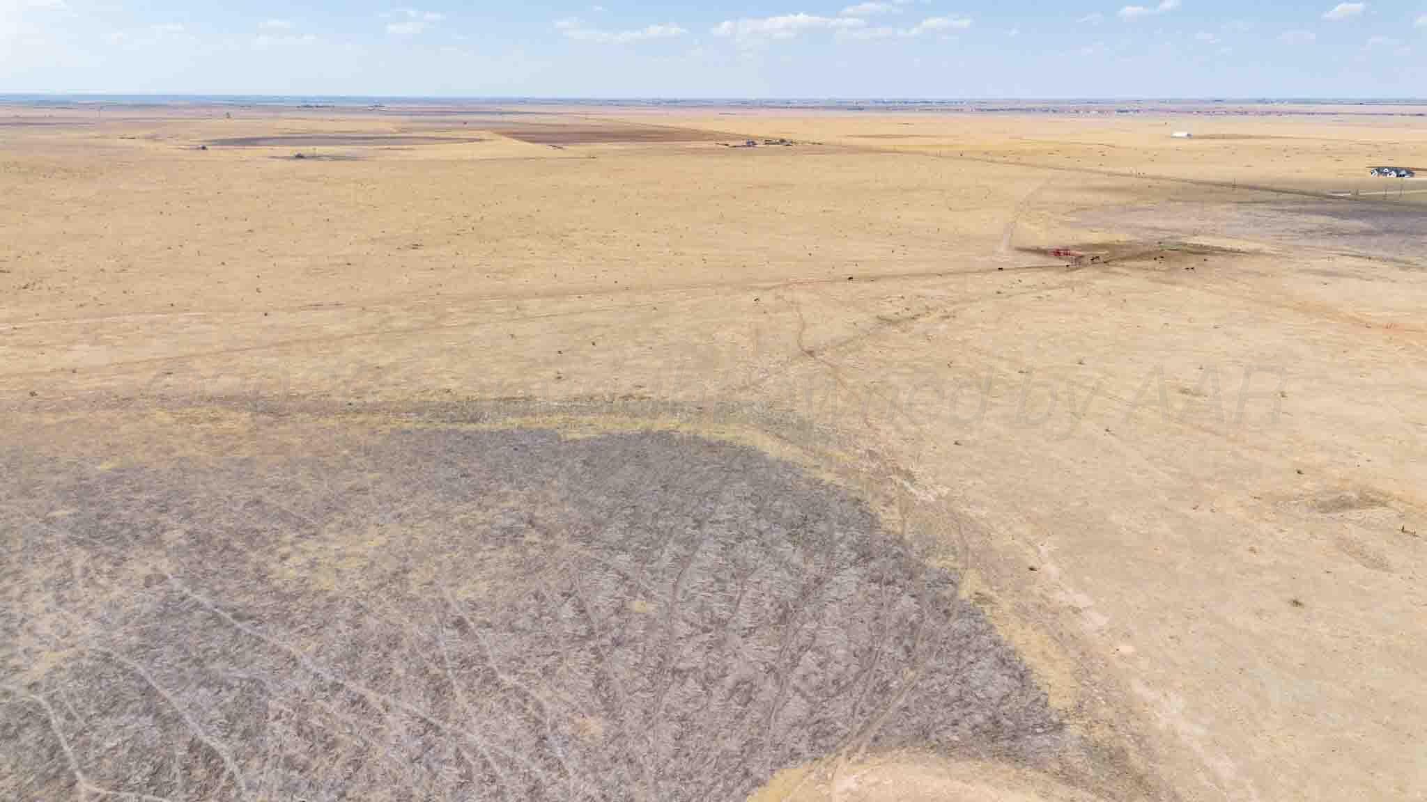 Buffalo Lake Rd. Auction, Canyon, TX 79015, photo 14
