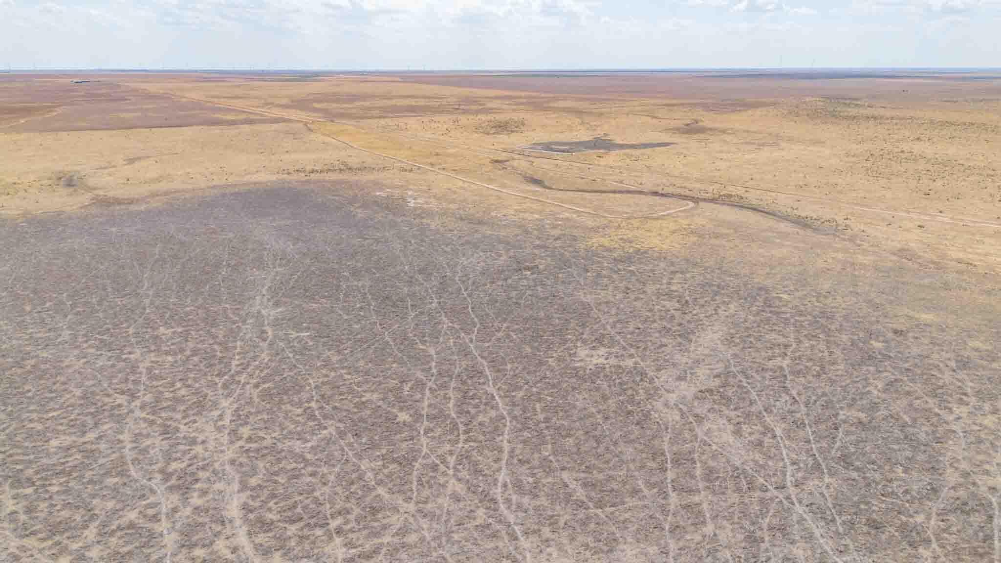 Buffalo Lake Rd. Auction, Canyon, TX 79015, photo 15