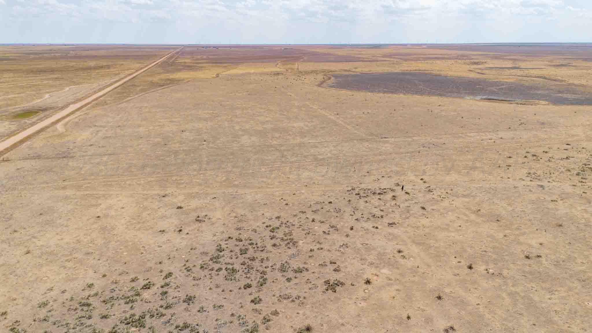 Buffalo Lake Rd. Auction, Canyon, TX 79015, photo 17
