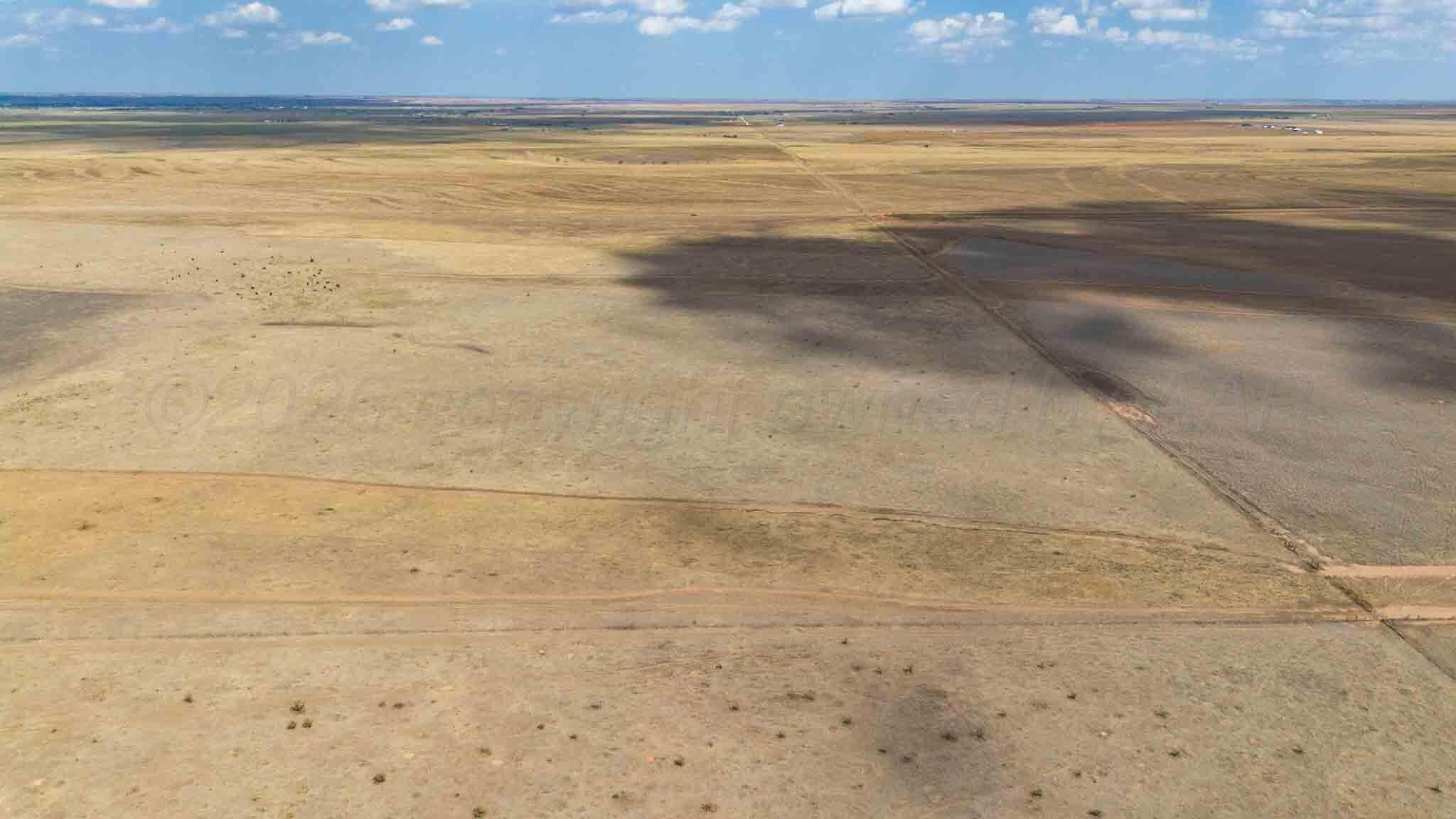 Buffalo Lake Rd. Auction, Canyon, TX 79015, photo 31