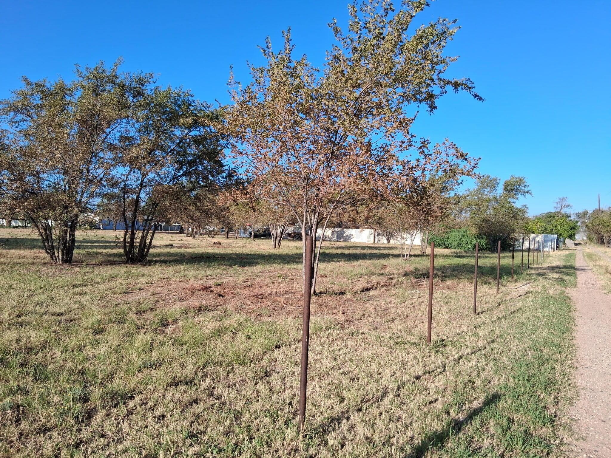 2105 E 47th Street, Lubbock, TX 79404, photo 3