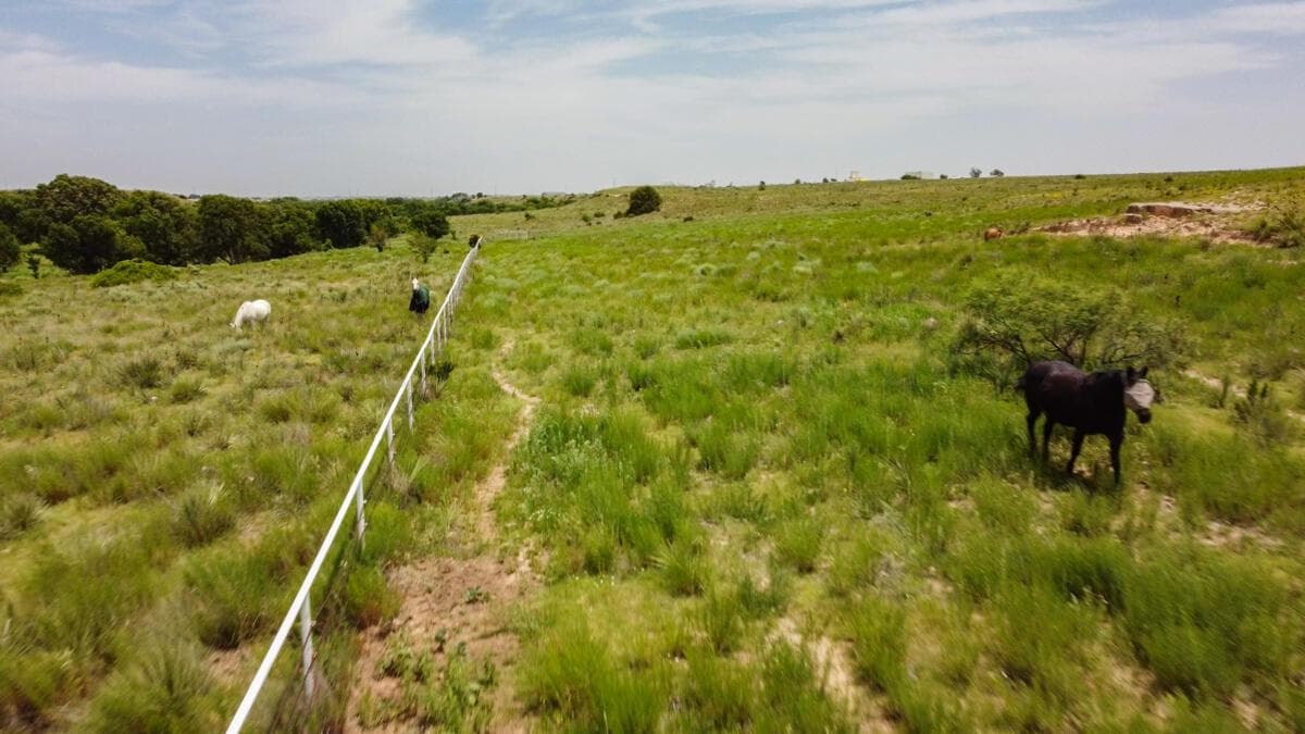 21401 Hope Rd. ±340ac, Canyon, TX 79015-5728, photo 155