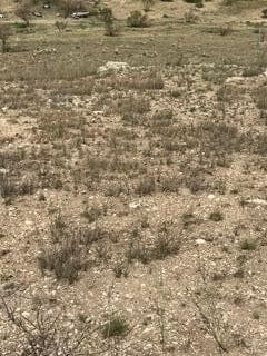 12131 TWIN VIEW Drive, Amarillo, TX 79124-4751, photo 10
