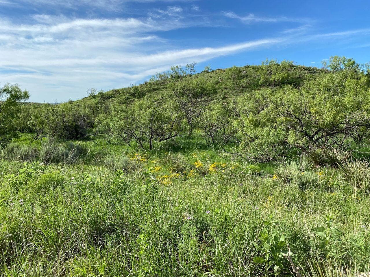 9831 Amarillo Road, Fritch, TX 79036, photo 12