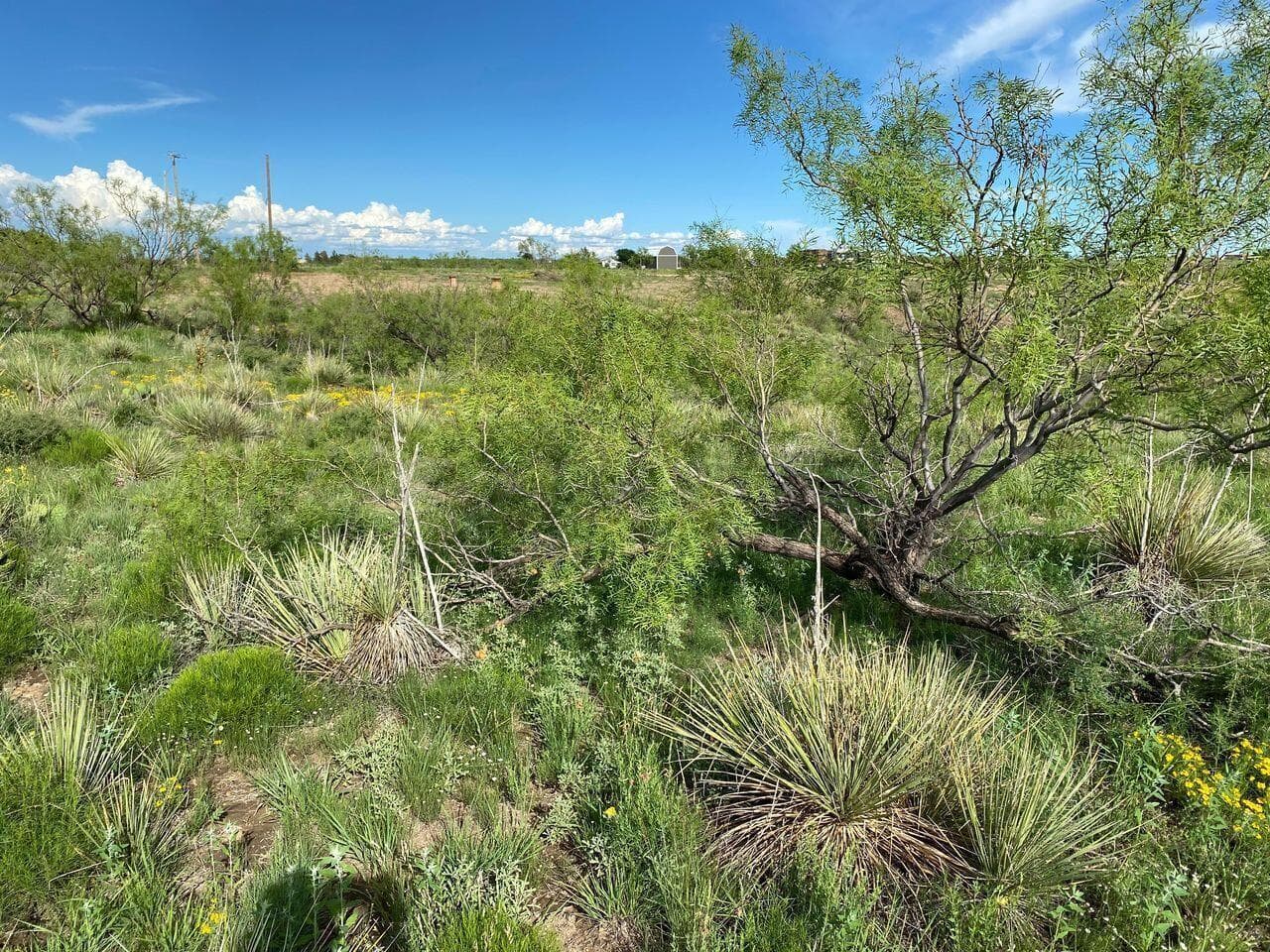 9831 Amarillo Road, Fritch, TX 79036, photo 13