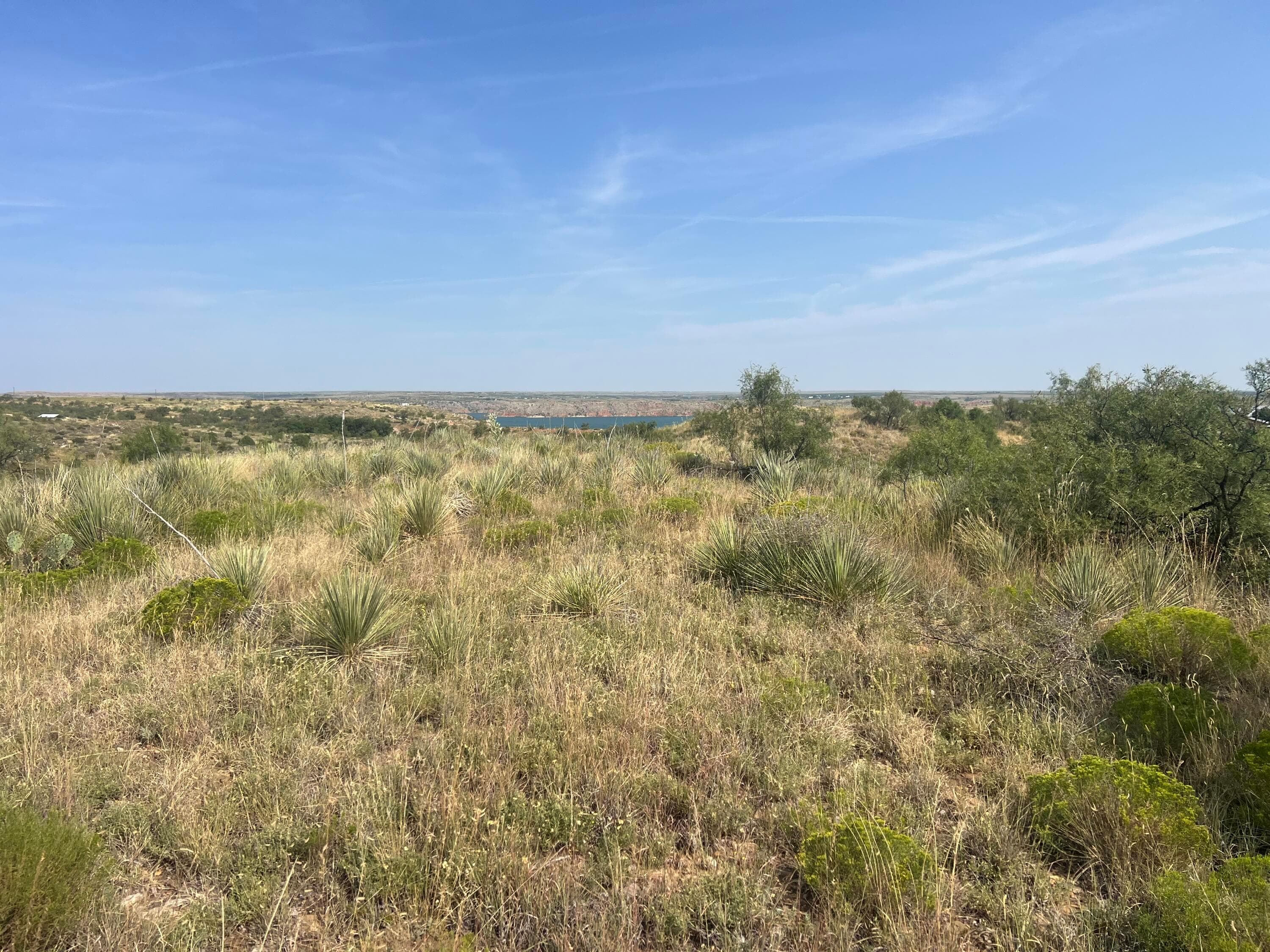 9831 Amarillo Road, Fritch, TX 79036, photo 18