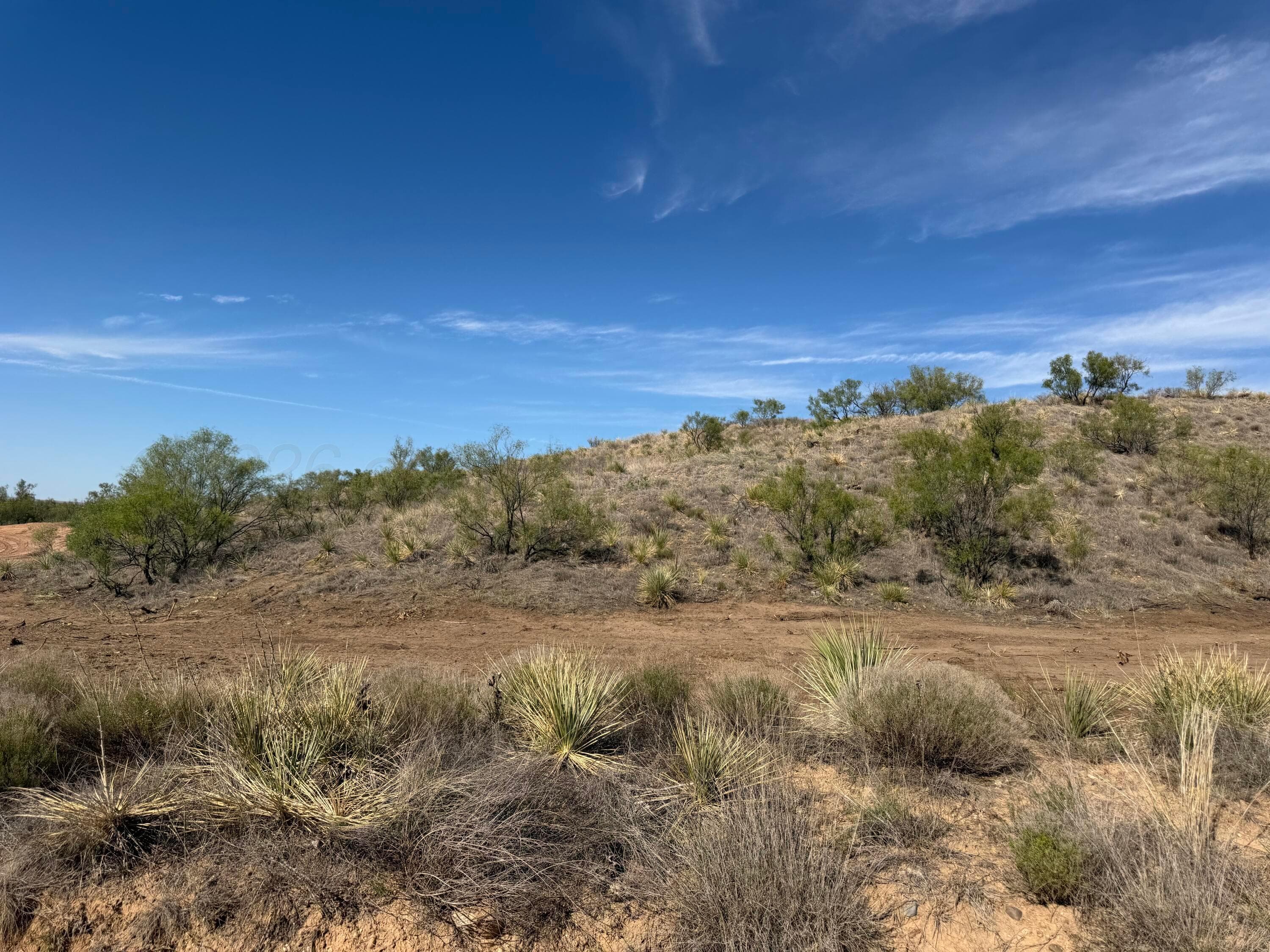 9831 Amarillo Road, Fritch, TX 79036, photo 6