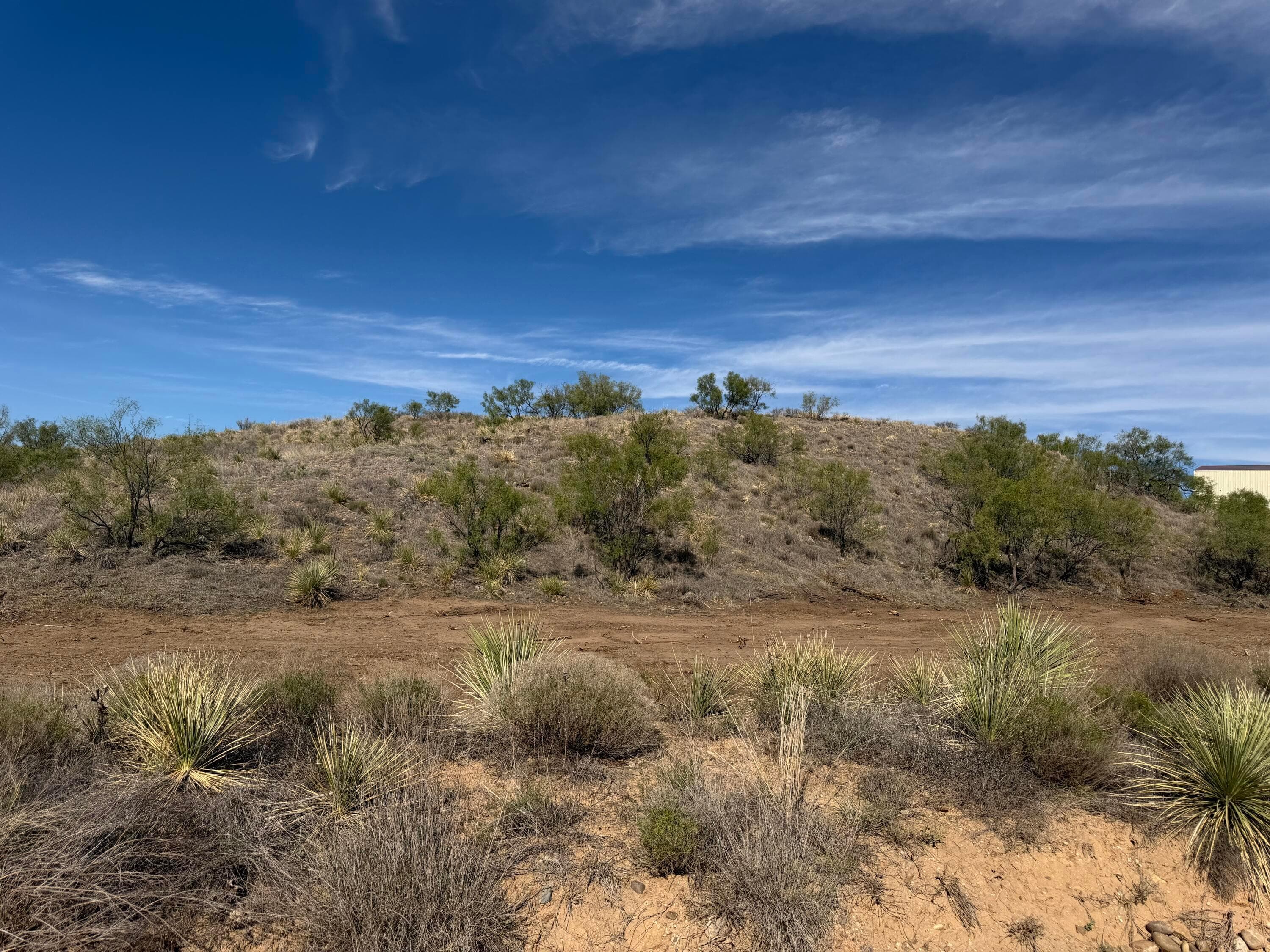 9831 Amarillo Road, Fritch, TX 79036, photo 7