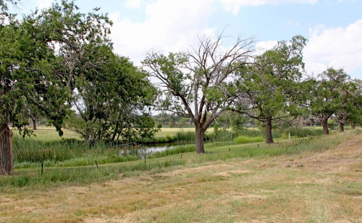 PD Creek Business Park, Canyon, TX 79015, photo 11