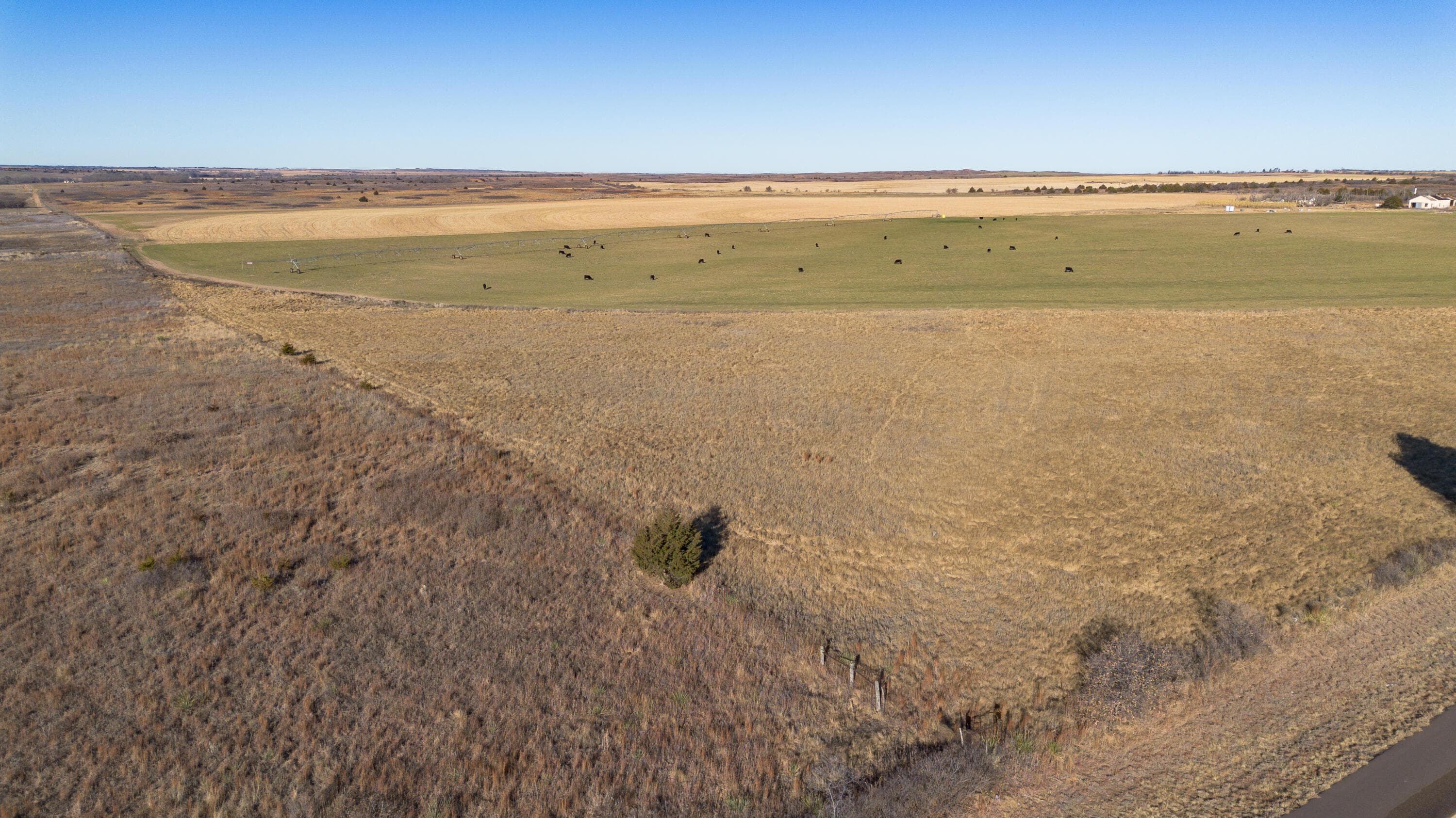 Coleman Tract 1 FM 453, Shamrock, TX 79079, photo 2