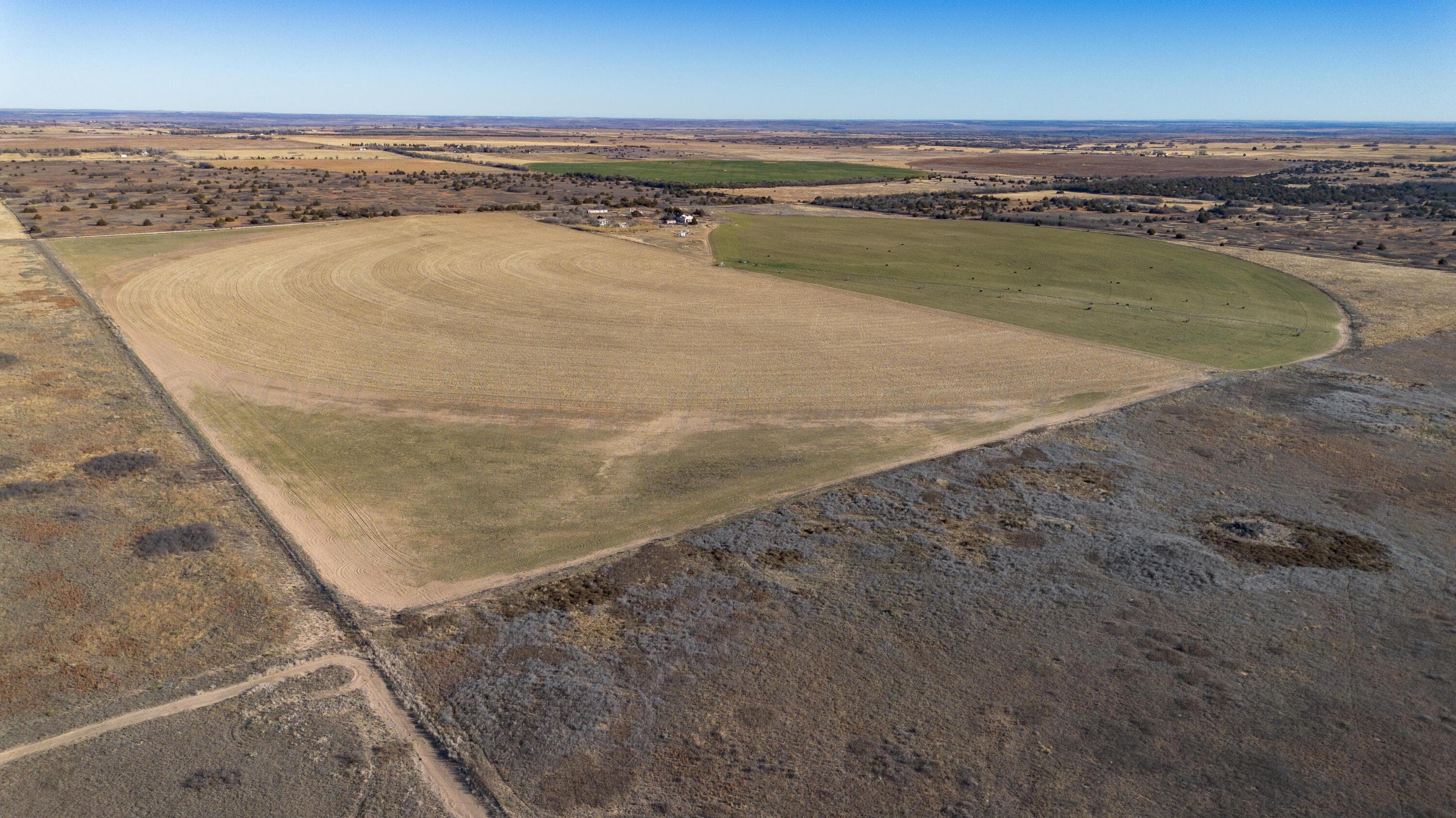 Coleman Tract 1 FM 453, Shamrock, TX 79079, photo 10