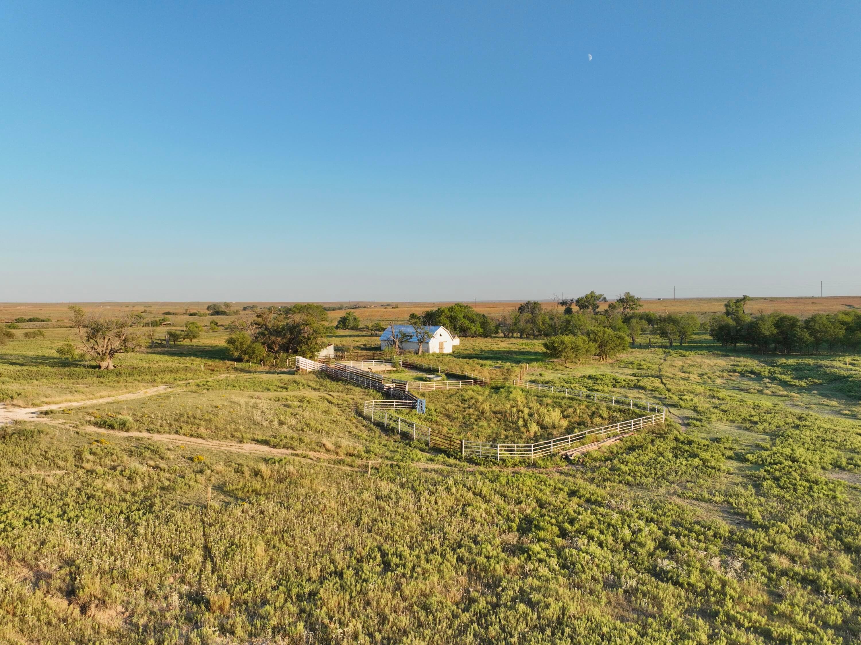First Creek Ranch, Booker, TX 79005, photo 9