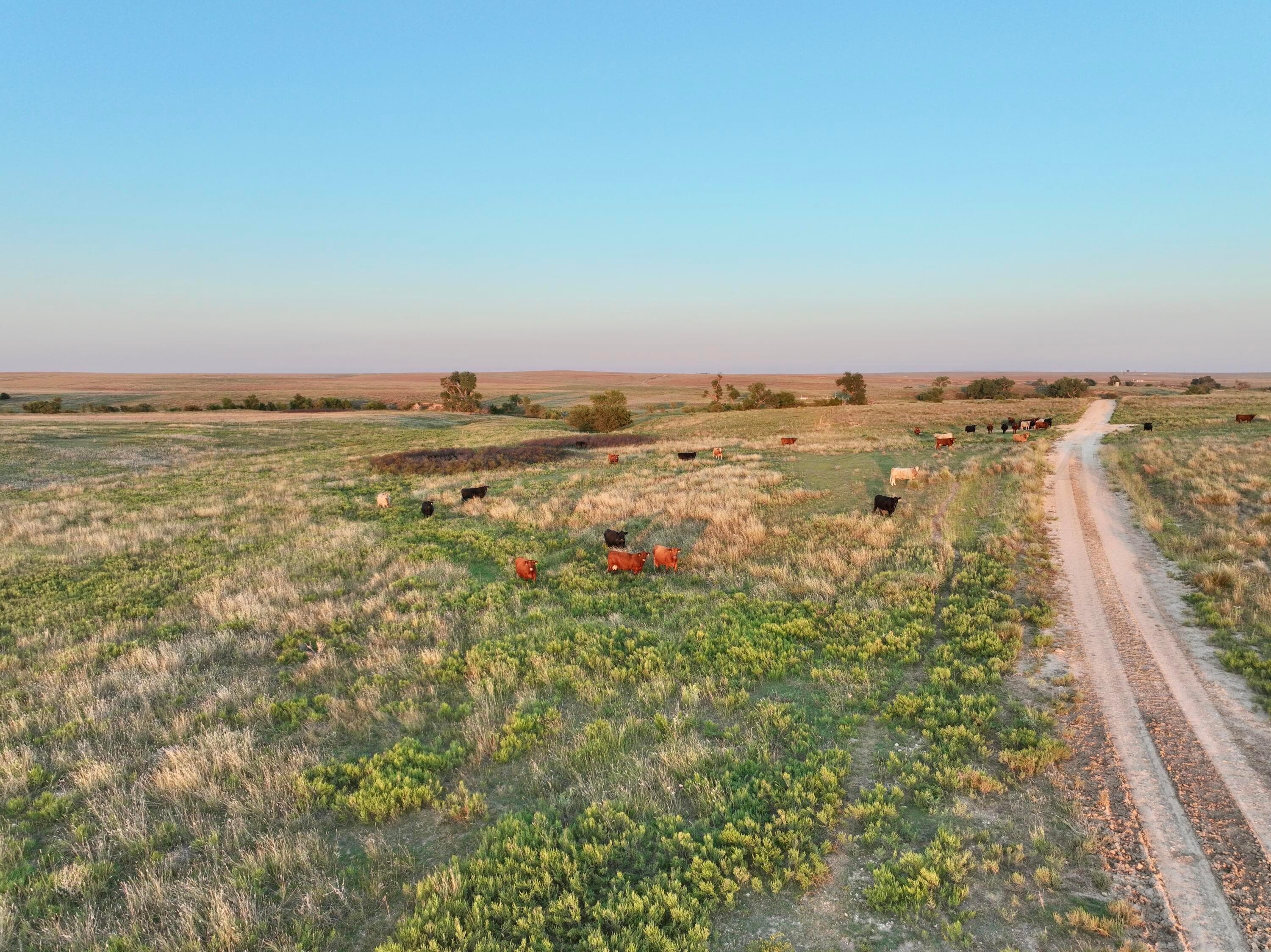 First Creek Ranch, Booker, TX 79005, photo 19