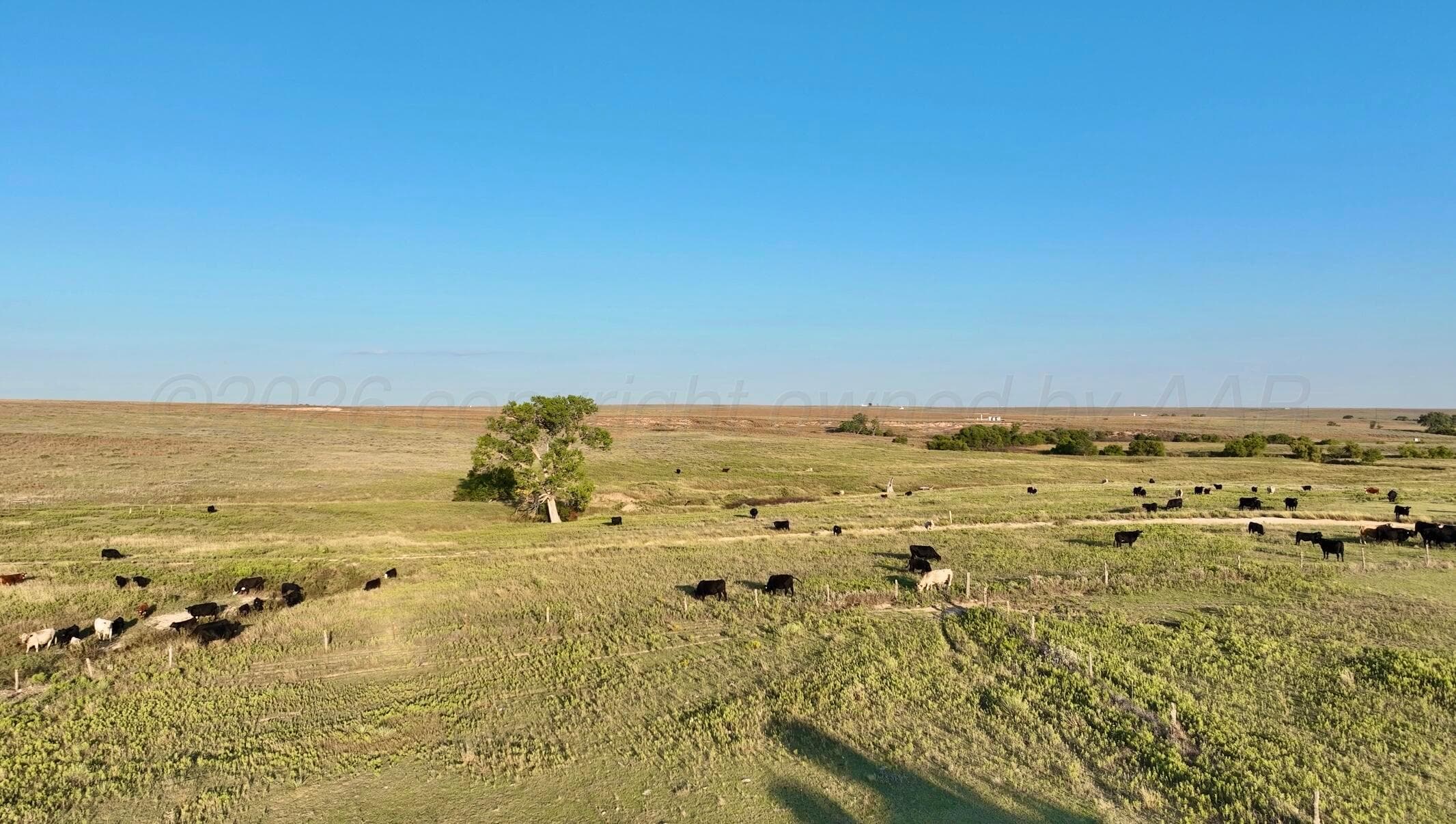 First Creek Ranch, Booker, TX 79005, photo 20