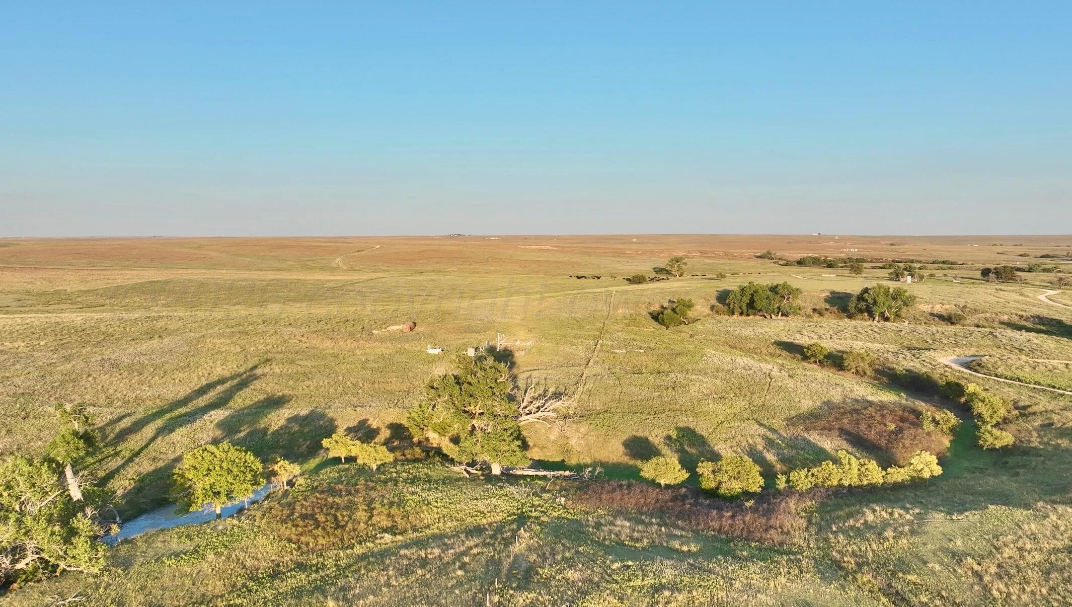 First Creek Ranch, Booker, TX 79005, photo 24