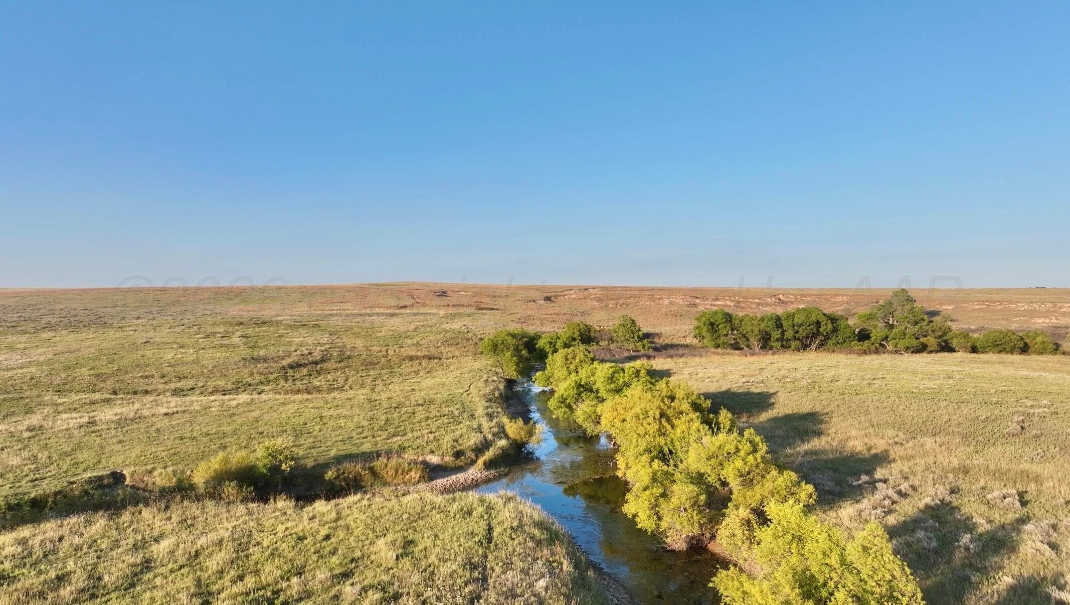 First Creek Ranch, Booker, TX 79005, photo 5