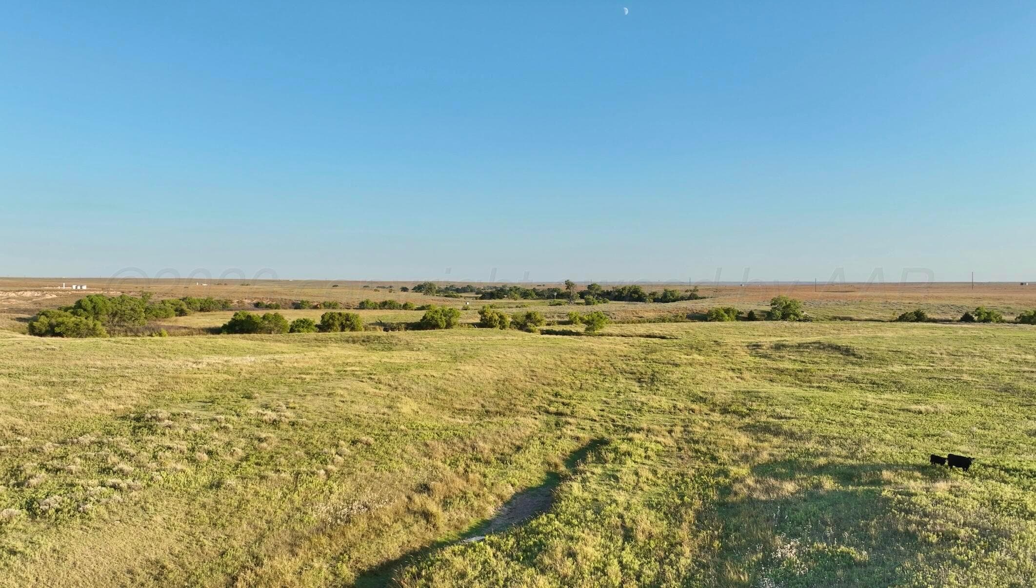 First Creek Ranch, Booker, TX 79005, photo 12