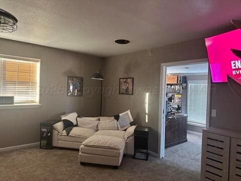 3721 County Road 12A, Hereford, TX 79045, photo 15