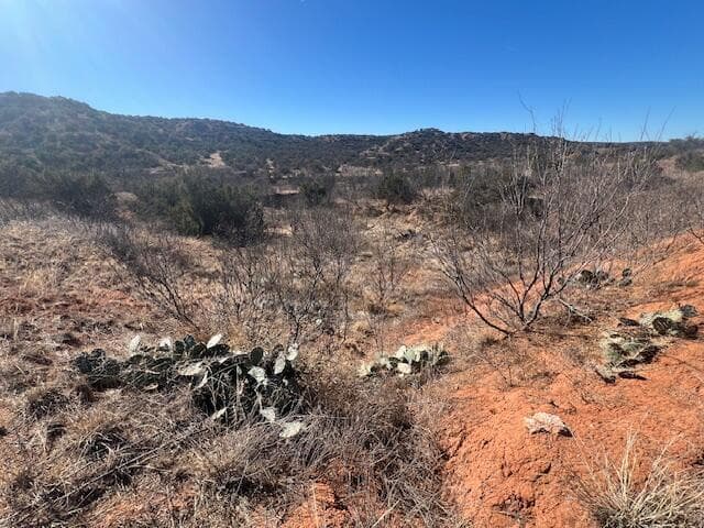 HIghway 70, Turkey, TX 79261, photo 21