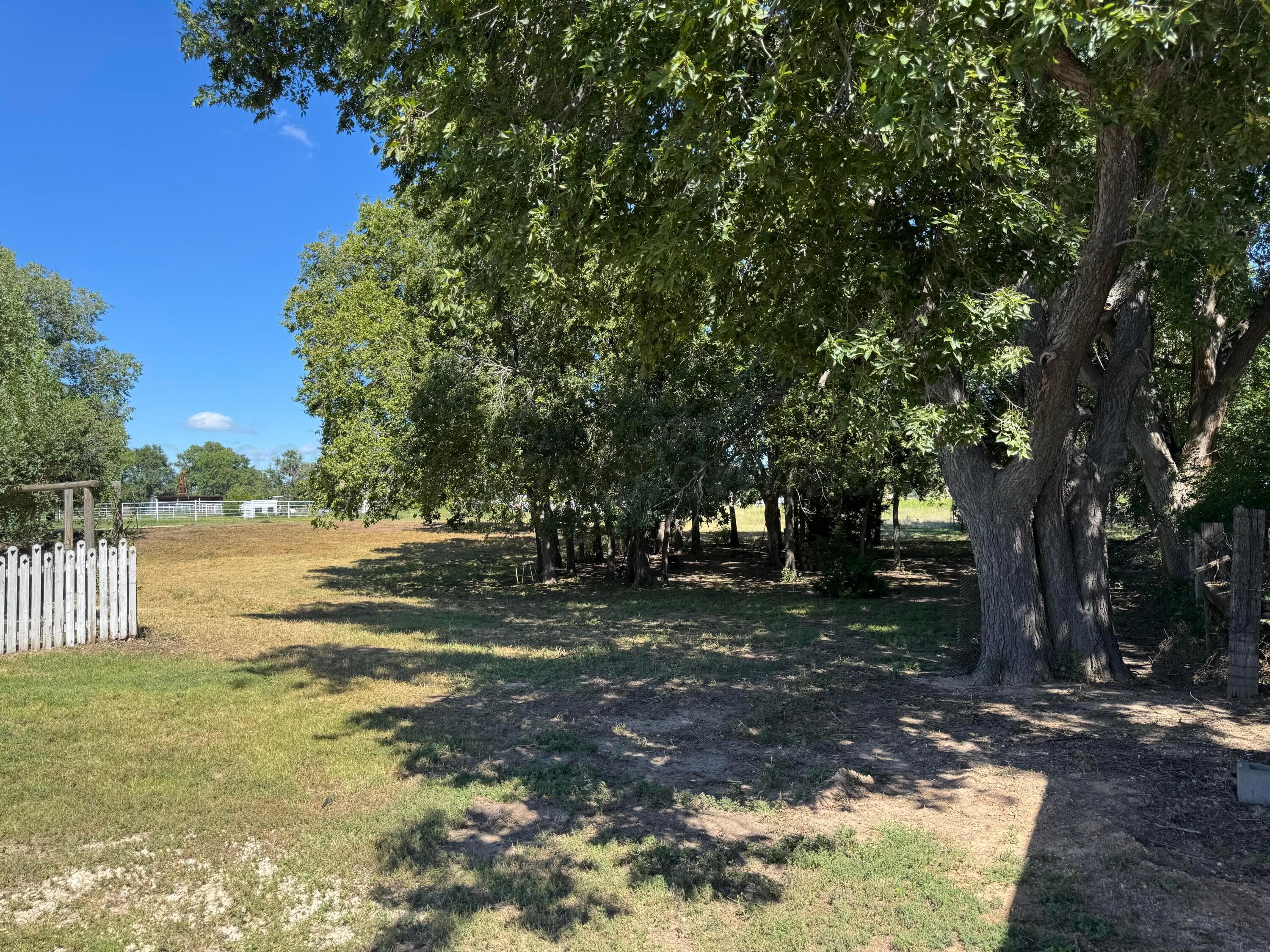 11316 Highway 305, Lipscomb, TX 79056, photo 3