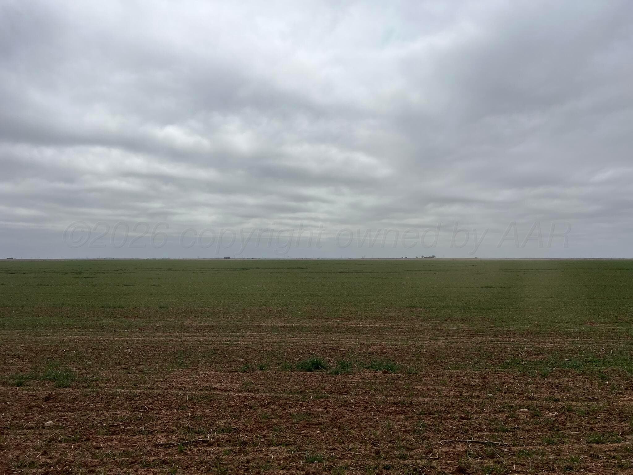 TBD Farm-To-Market 2568, Quanah, TX 79252, photo 11