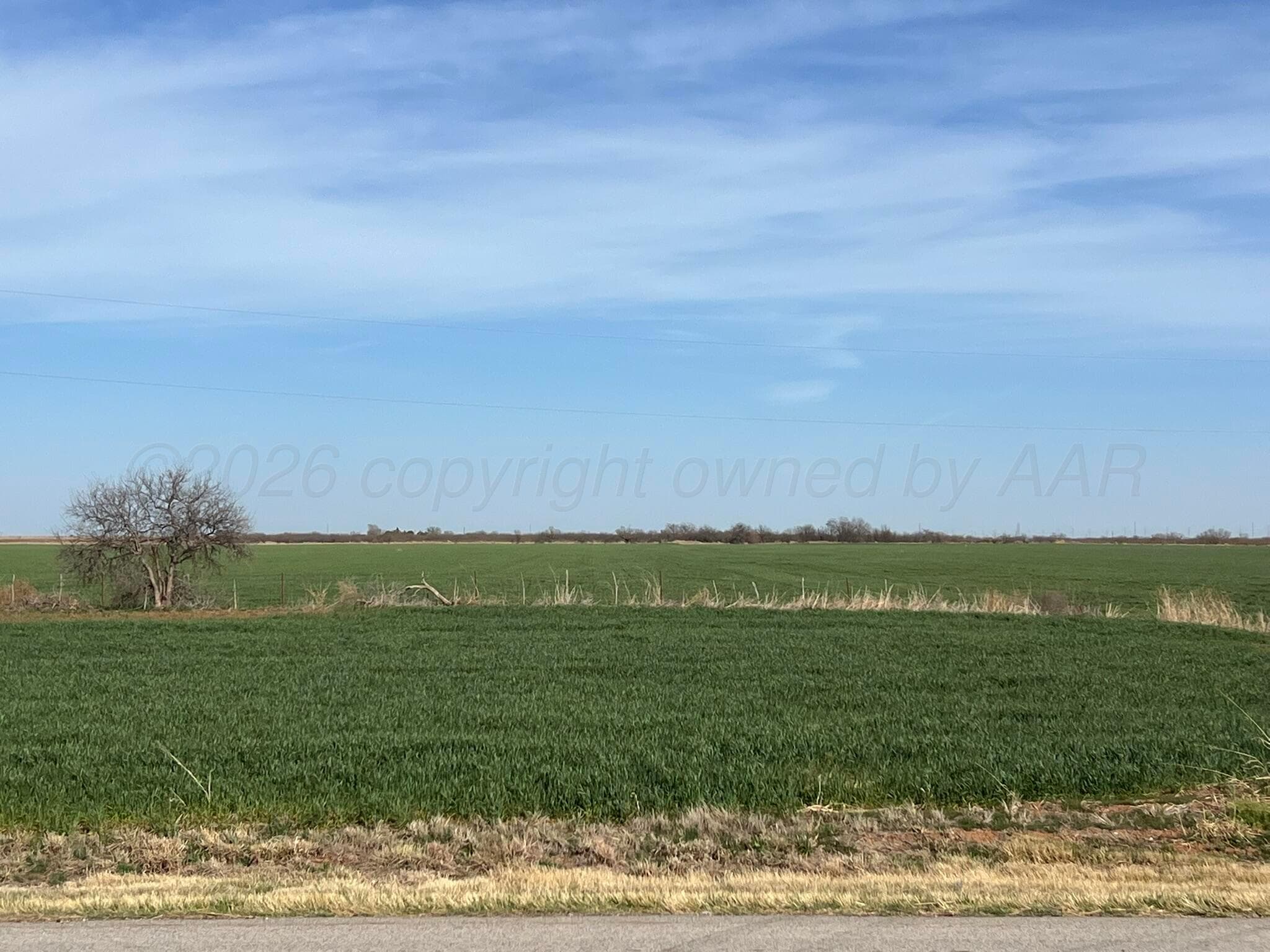 TBD State Highway 6, Crowell, TX 79227, photo 3
