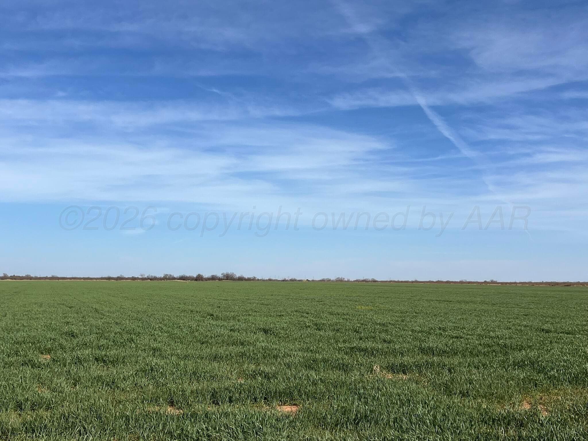 TBD State Highway 6, Crowell, TX 79227, photo 5