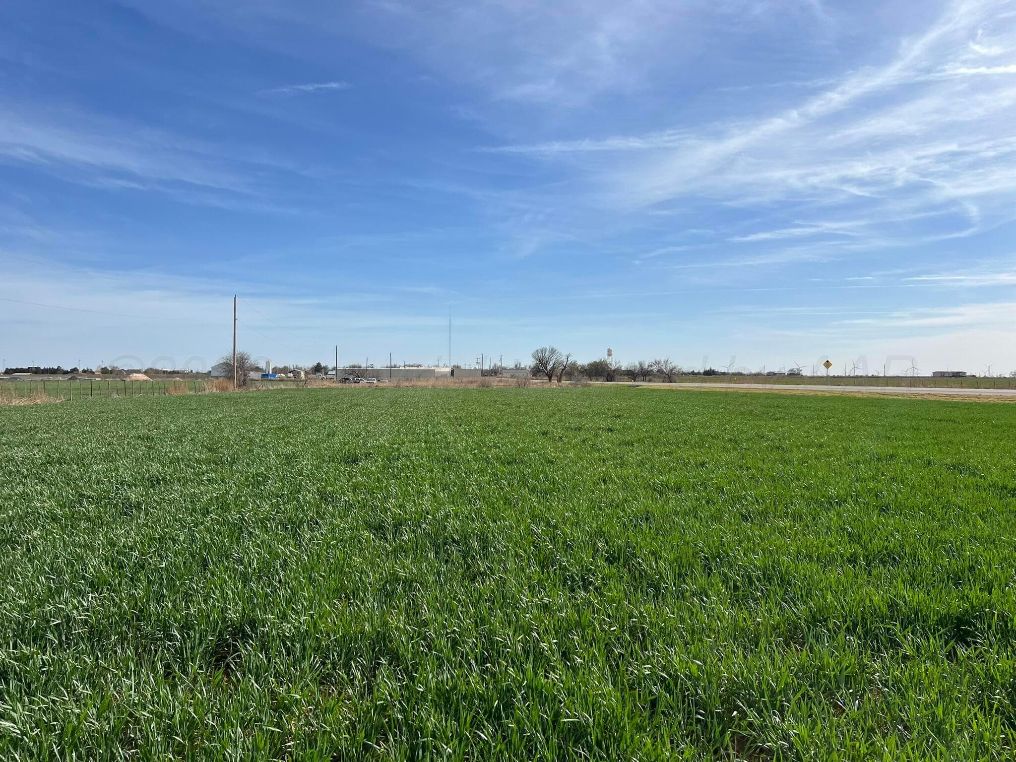 TBD State Highway 6, Crowell, TX 79227, photo 8