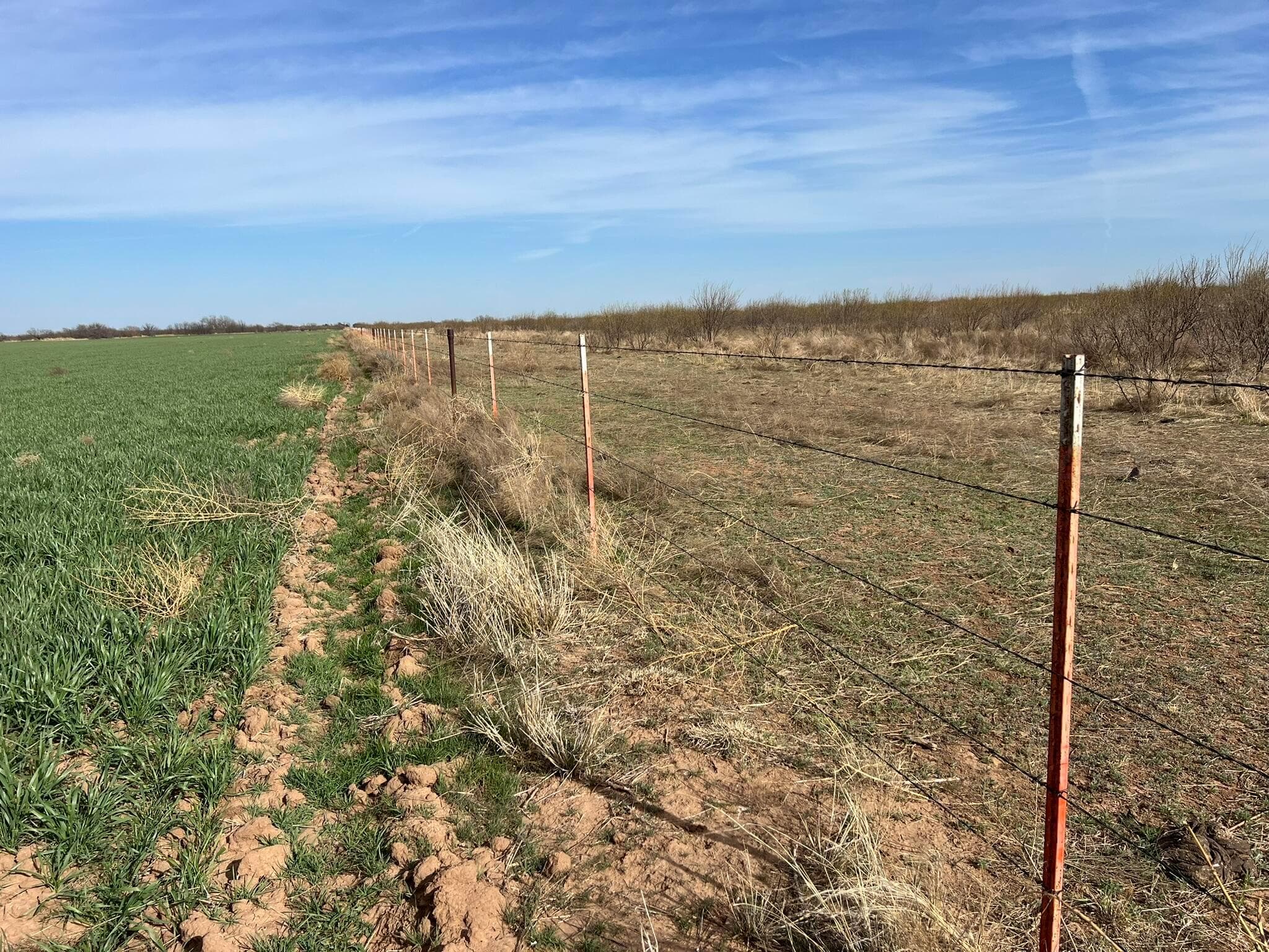 TBD State Highway 6, Crowell, TX 79227, photo 9