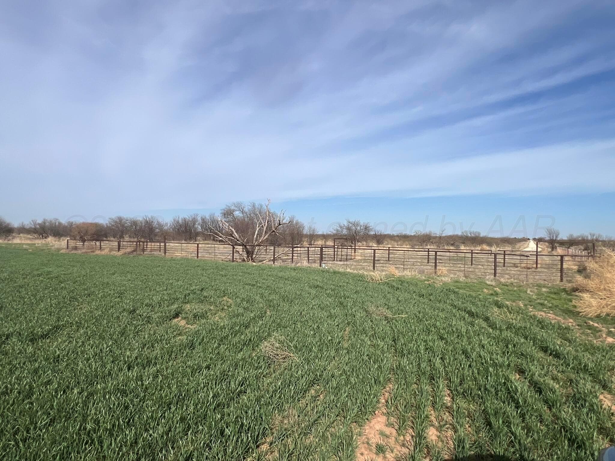 TBD State Highway 6, Crowell, TX 79227, photo 11