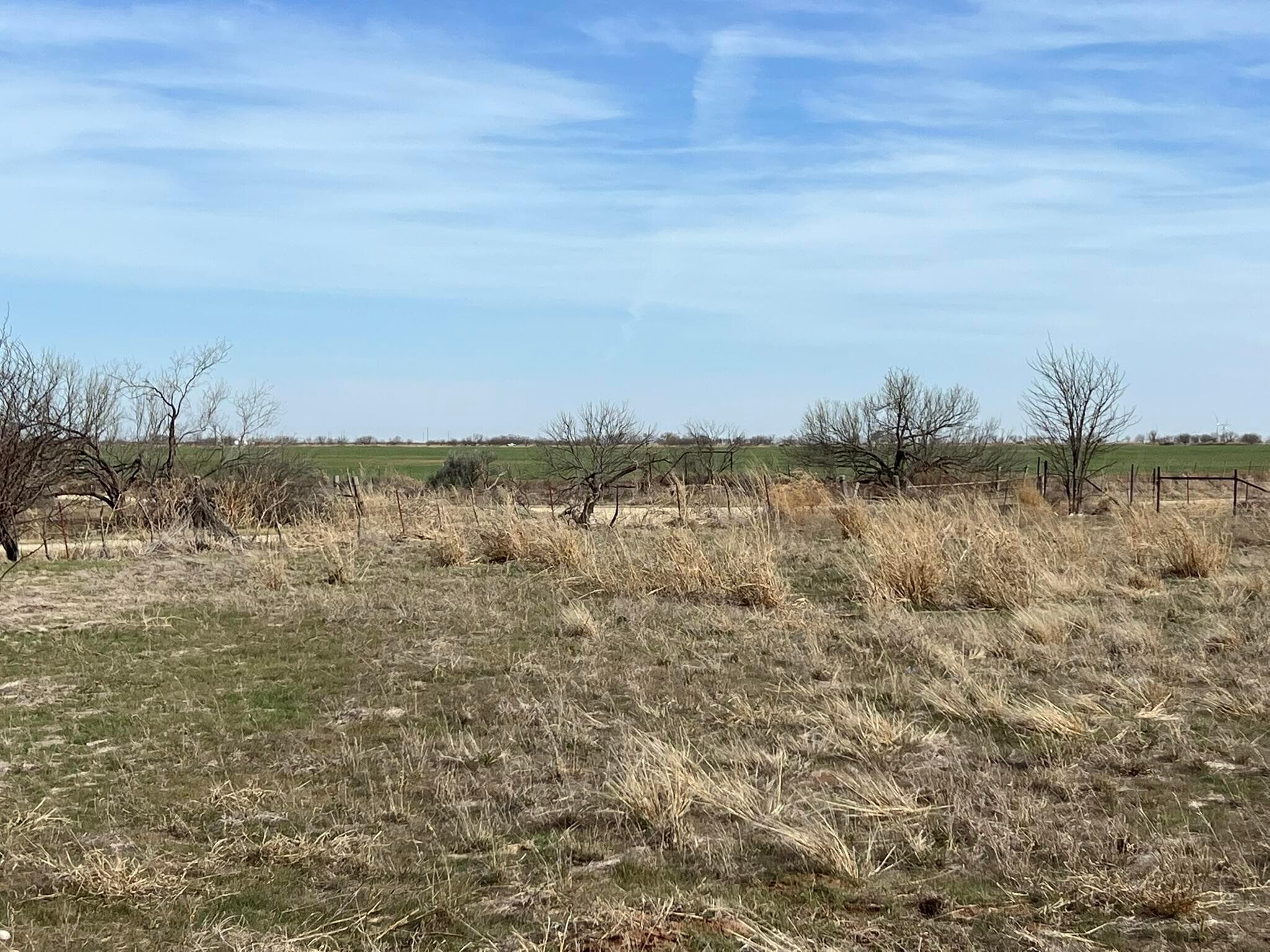 TBD State Highway 6, Crowell, TX 79227, photo 13