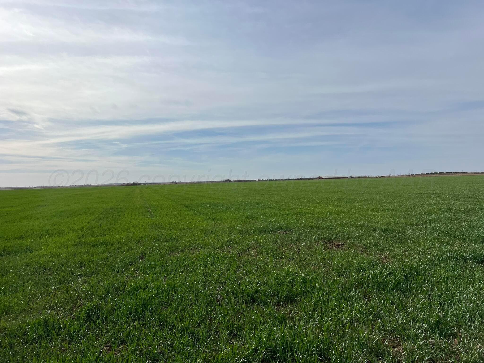 TBD State Highway 6, Crowell, TX 79227, photo 16