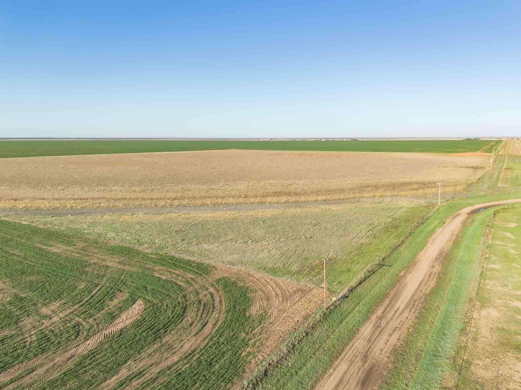 Tract 1 Pullman Road ±75ac, Amarillo, TX 79118, photo 3