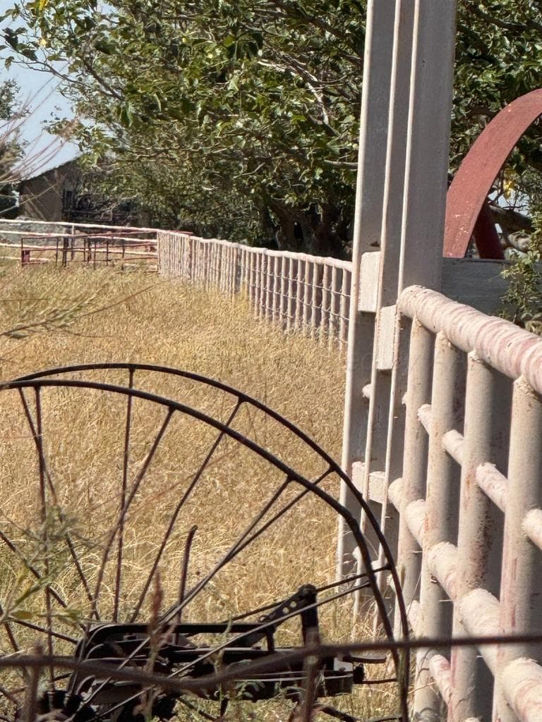 0 FM 1264, Lubbock, TX 79350, photo 8