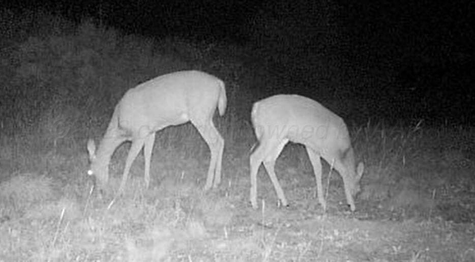 HWY 287, Dumas, TX 79029, photo 12
