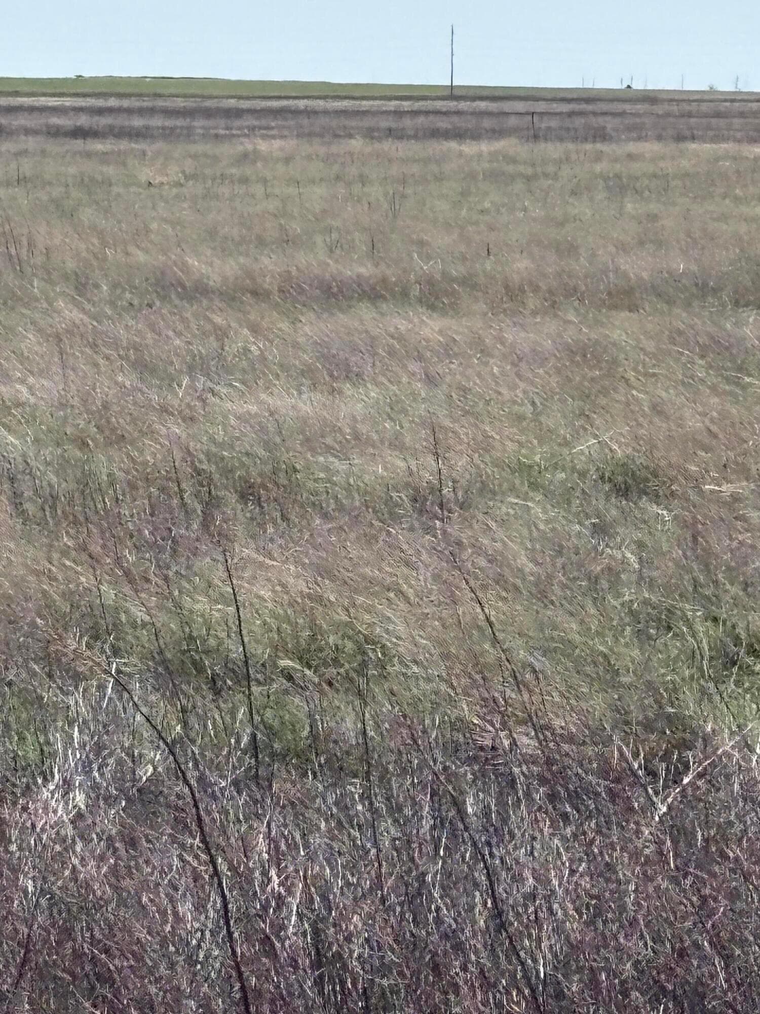 Guymon, OK 73942, photo 3