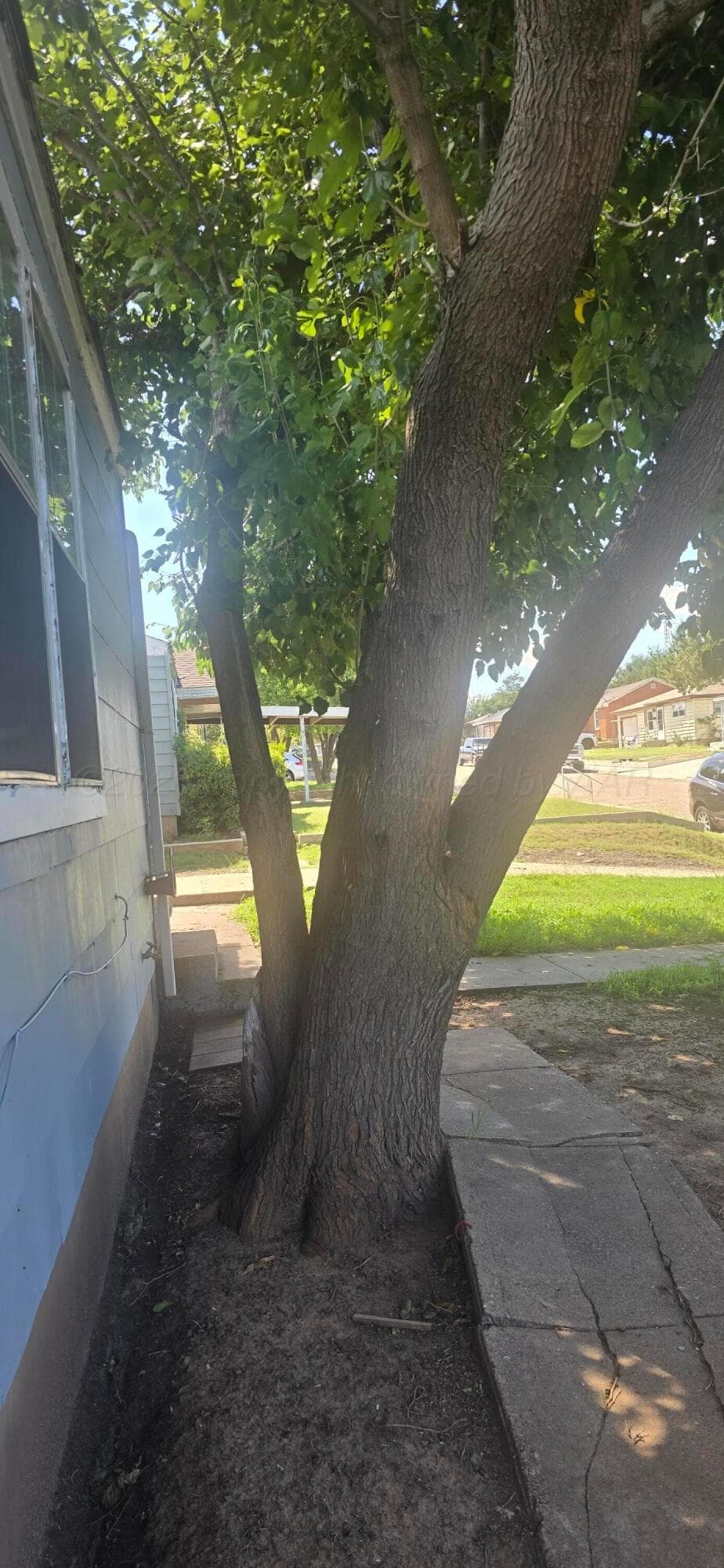 116 Ozmer Street, Borger, TX 79007, photo 4