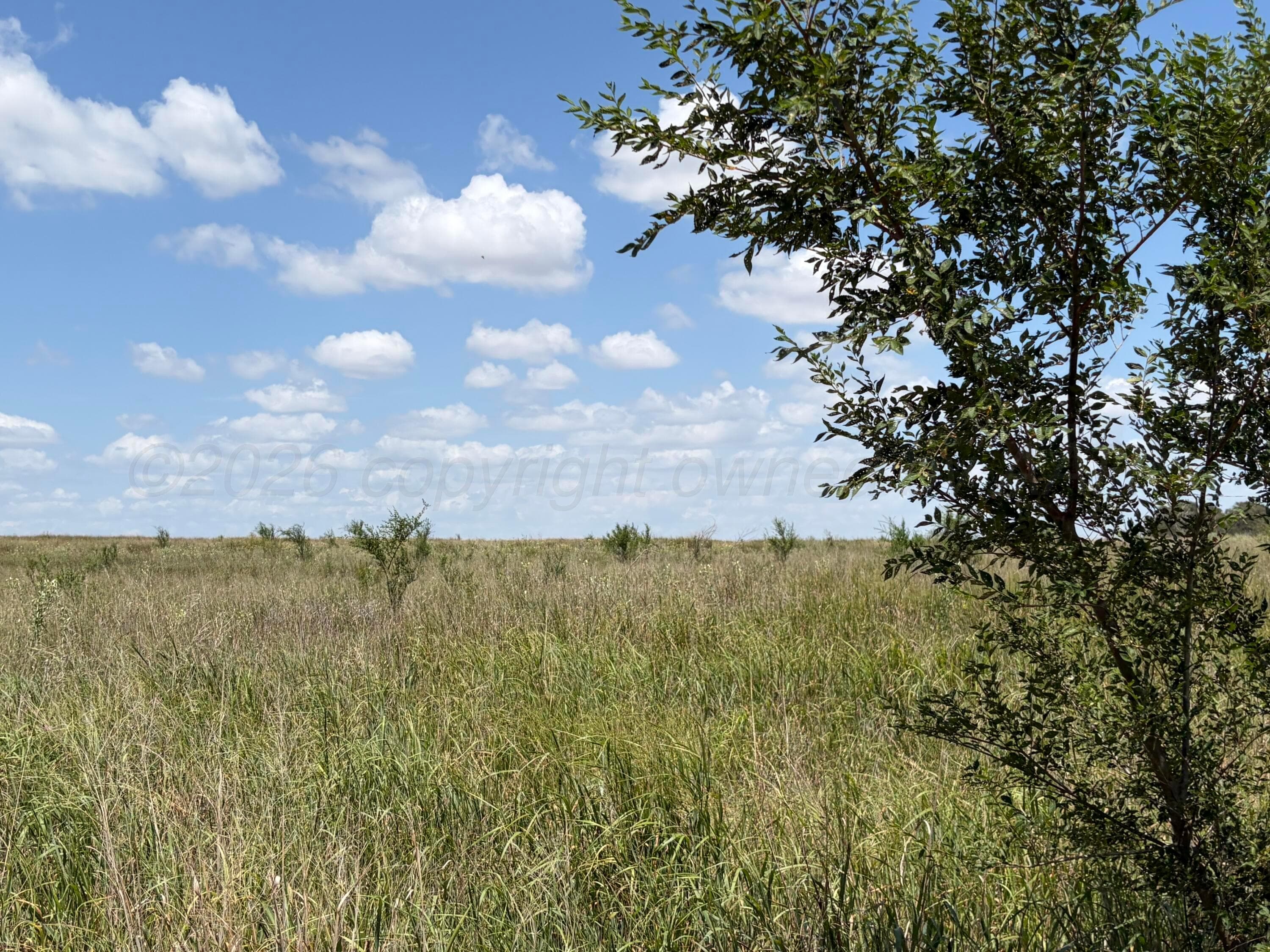 TBD State Highway 203, Wellington, TX 79095