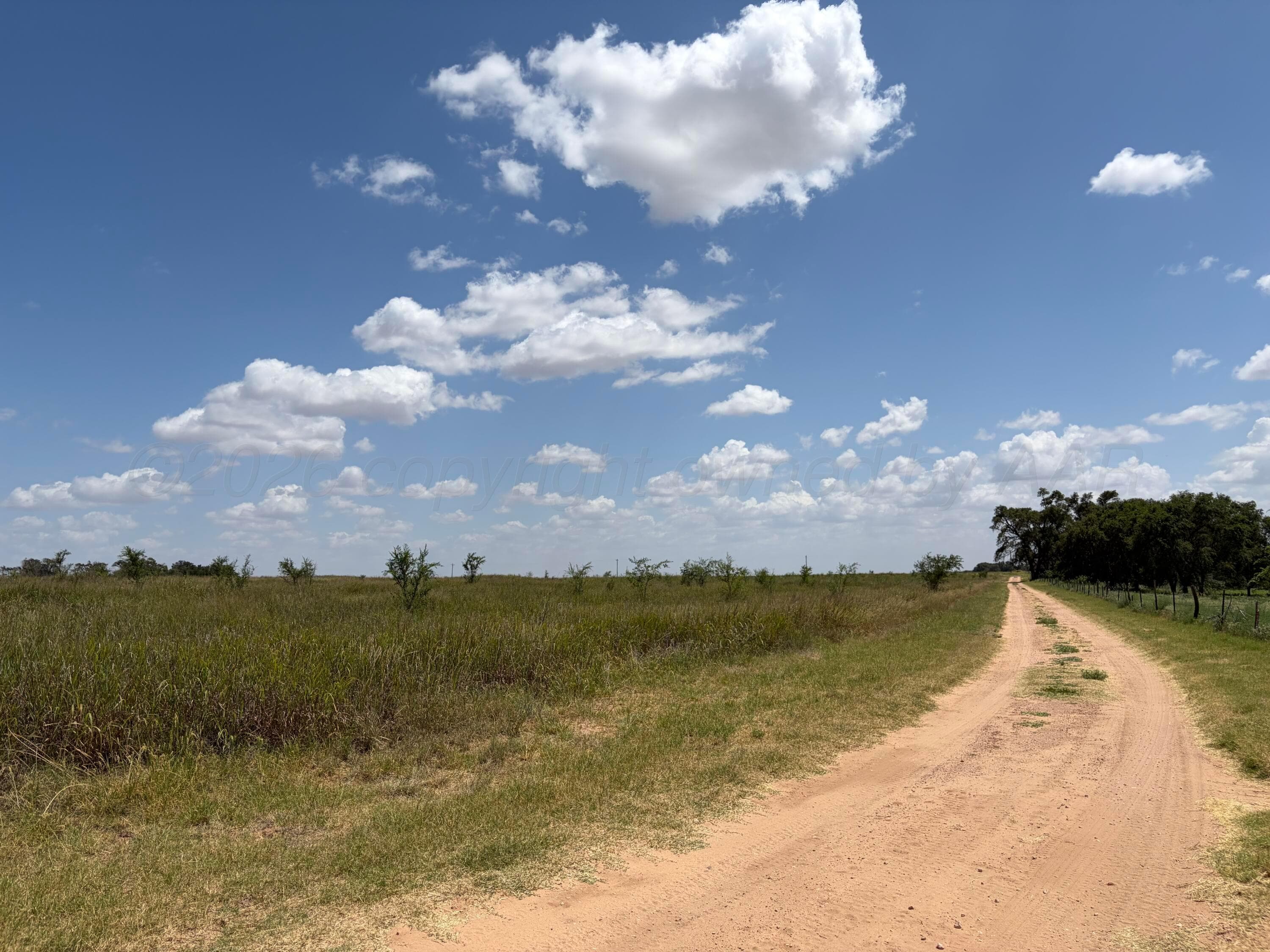 TBD State Highway 203, Wellington, TX 79095, photo 4