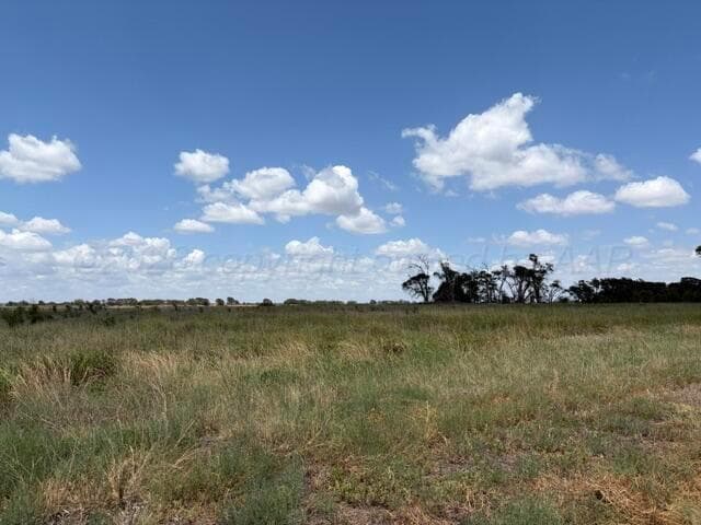 TBD State Highway 203, Wellington, TX 79095, photo 3