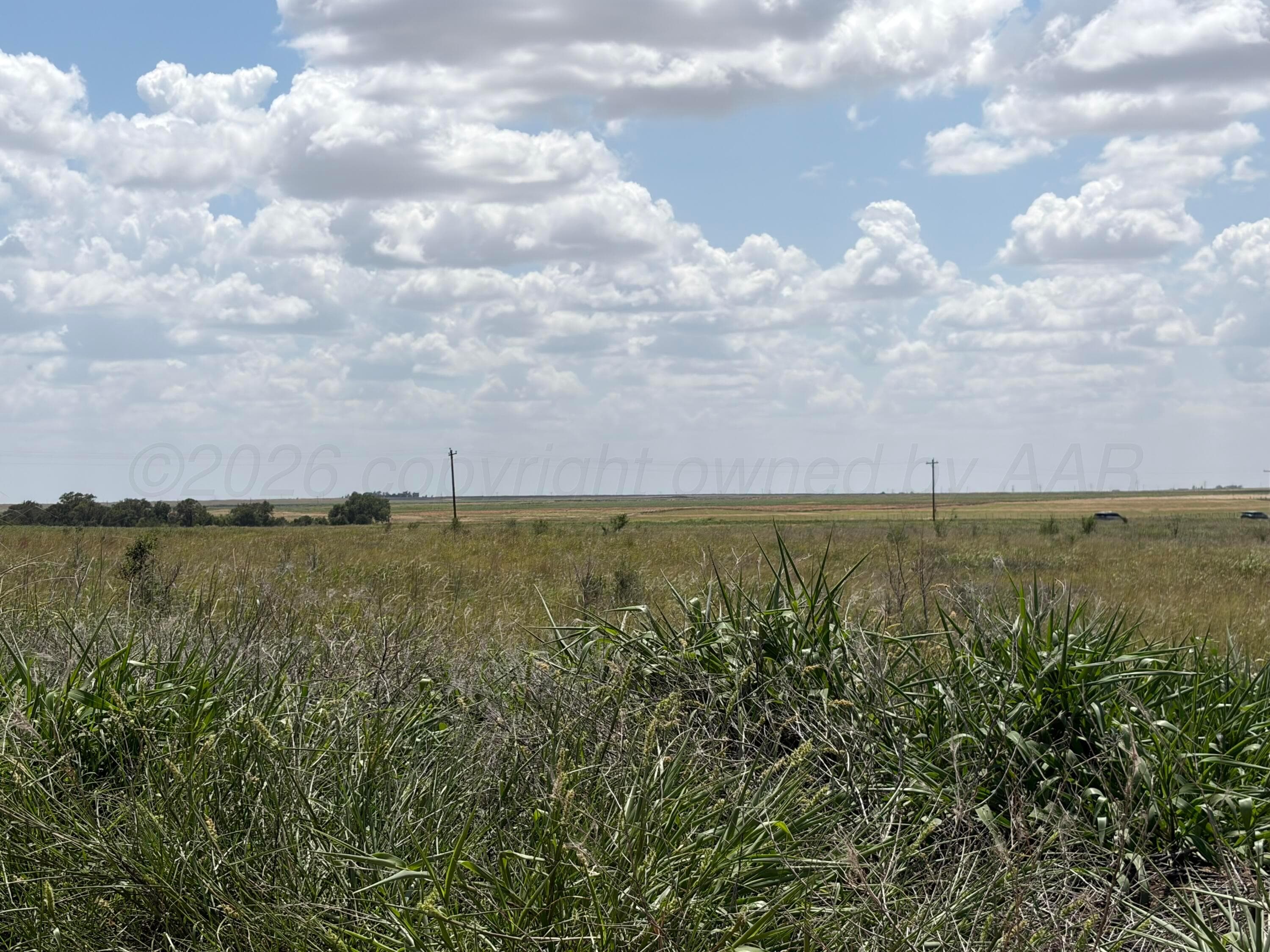 TBD State Highway 203, Wellington, TX 79095, photo 9