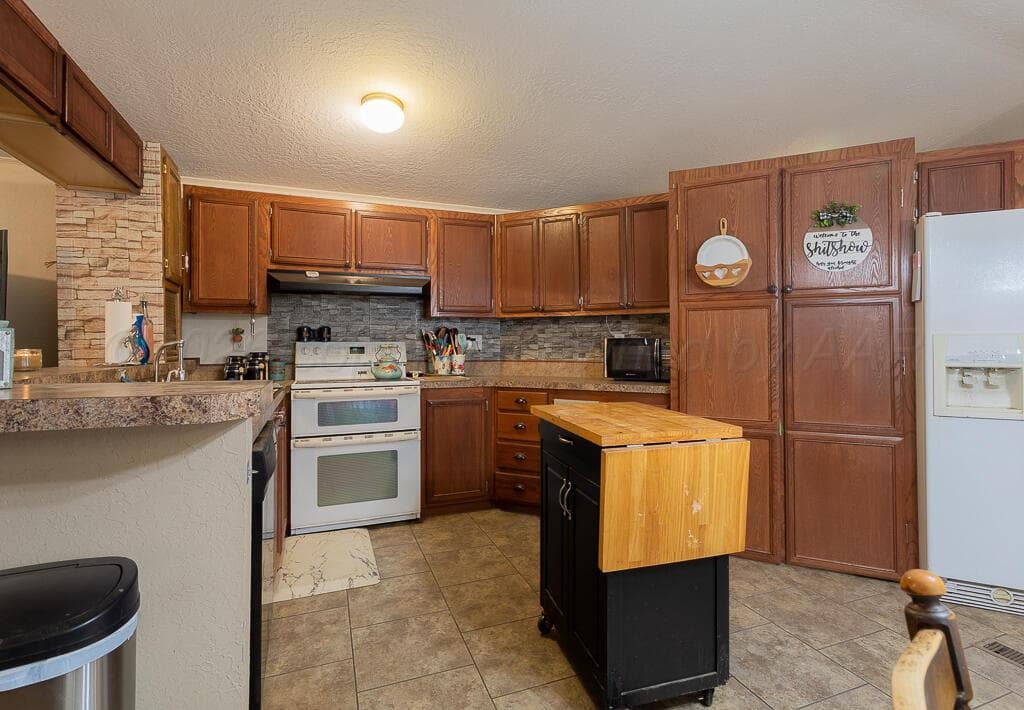 Schmidt Ranch, Morse, TX 79062, photo 28