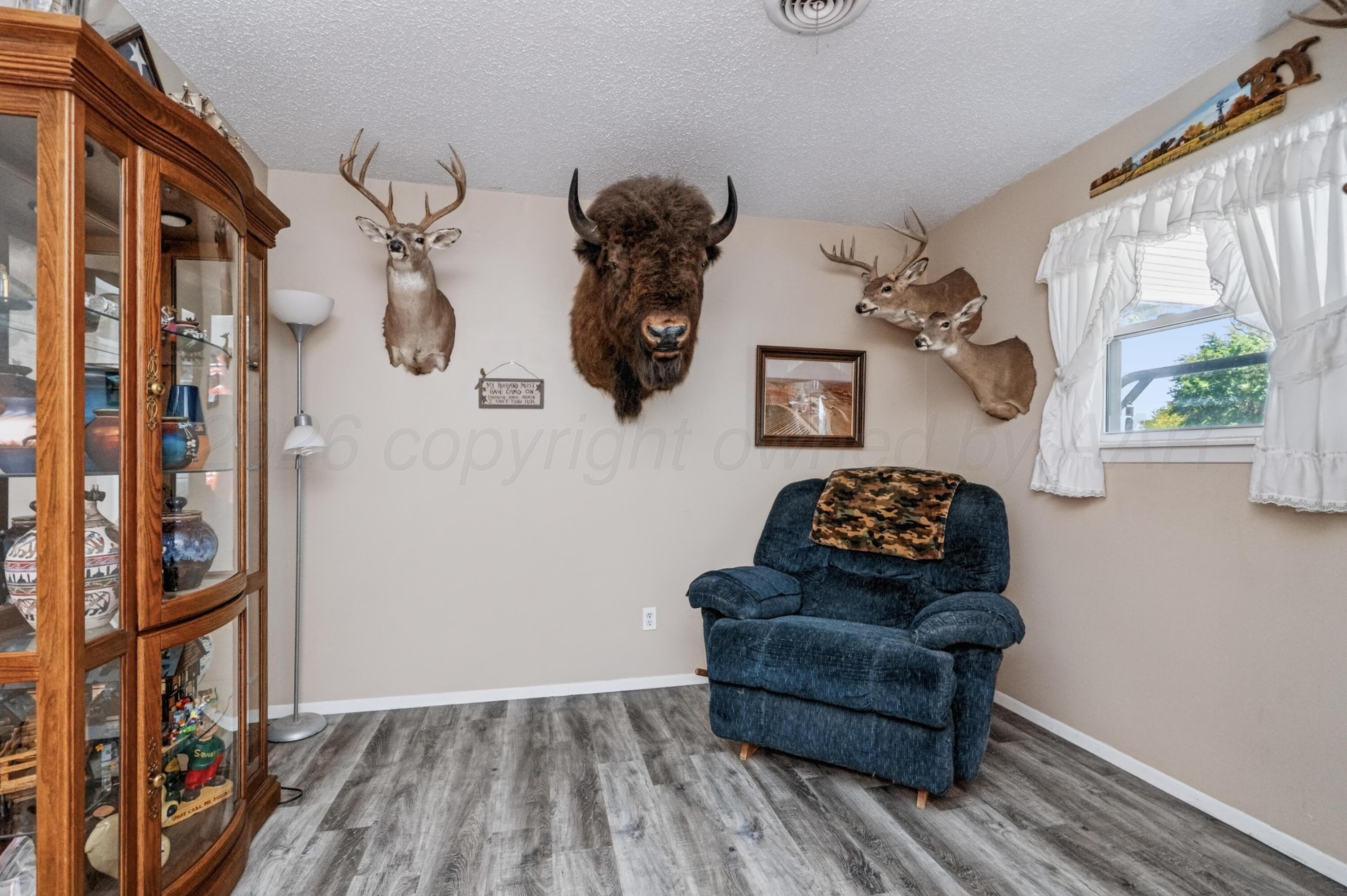 206 Arroyo Verde Drive, Fritch, TX 79036, photo 6