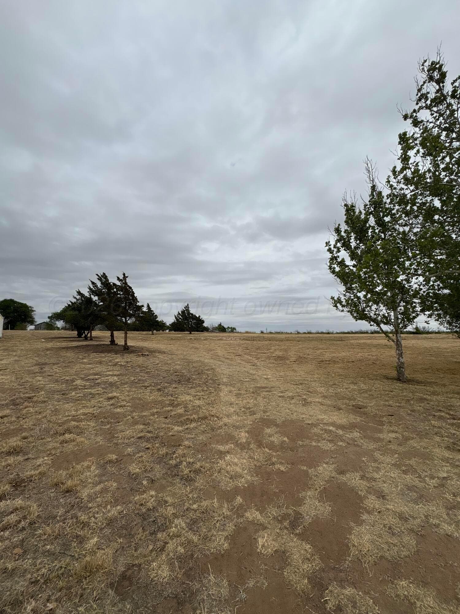 509 YUCCA Drive, Fritch, TX 79036-5019, photo 8